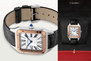 Cartier Santos Dumont W2sa0017 At Cortina Watch 300x200
