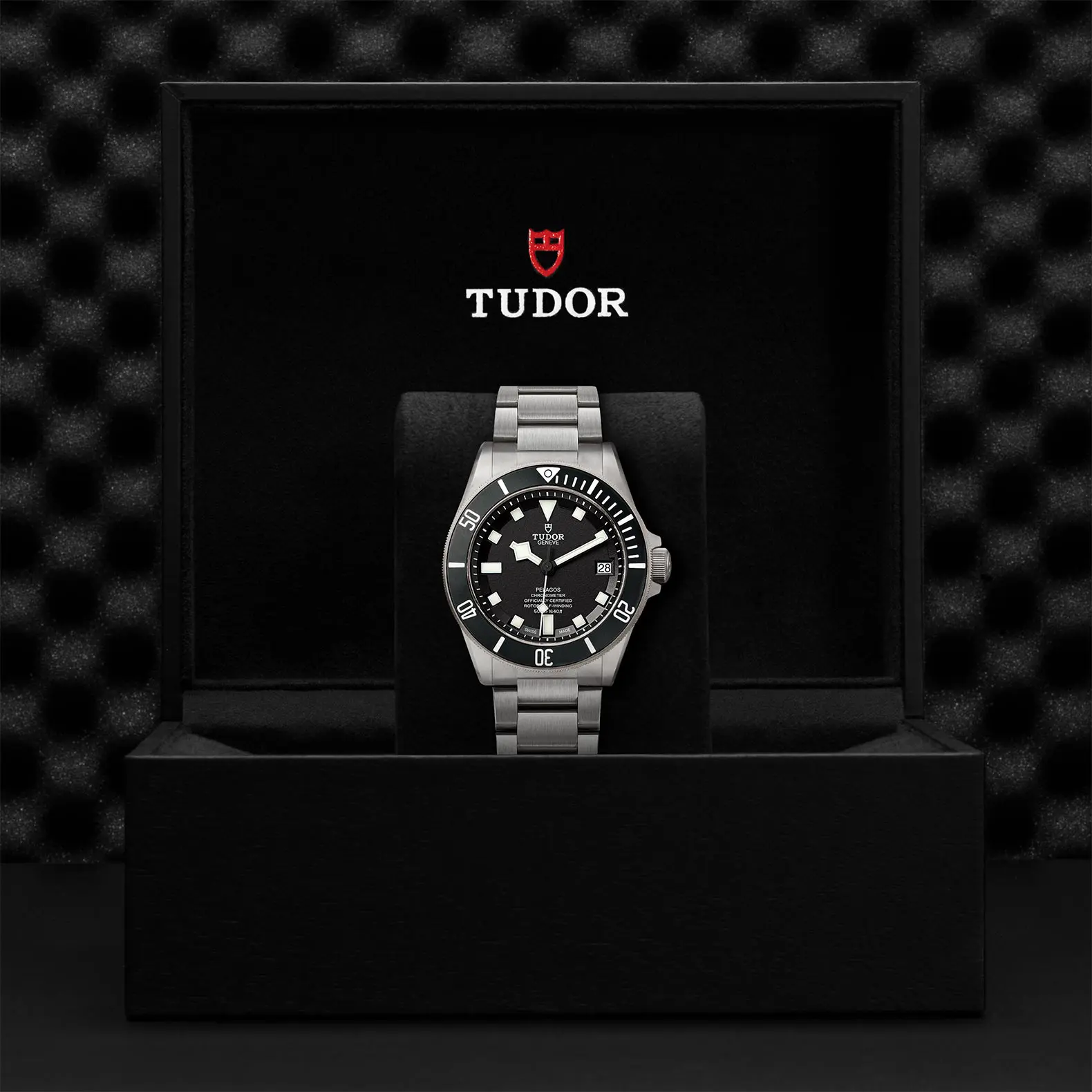TUDORPelagos领潜型磨砂钛金属及钢表壳，直径42毫米 - M25600TN-0001 at Cortina Watch Malaysia