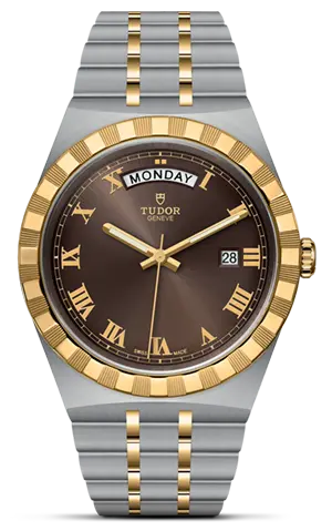 TUDORTUDOR RoyalTUDOR Royal41mm steel case with polished and satin finish - M28603-0007 at Cortina Watch Malaysia