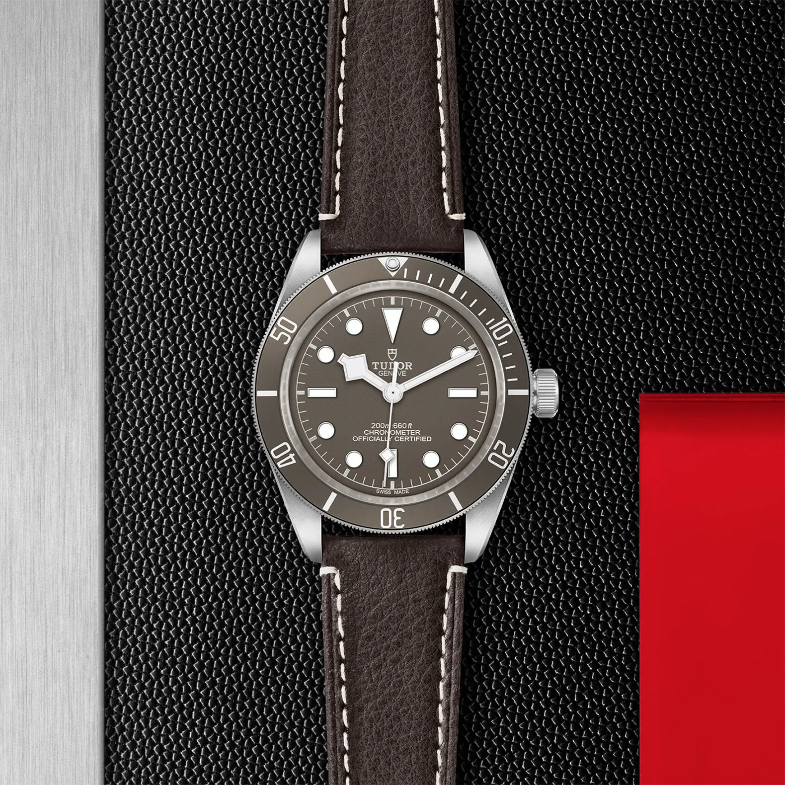 TUDORBlack Bay 58 925Black Bay 5839mm 925 silver case, satin finished Open case back with sapphire crystal - M79010SG-0001 at Cortina Watch Malaysia