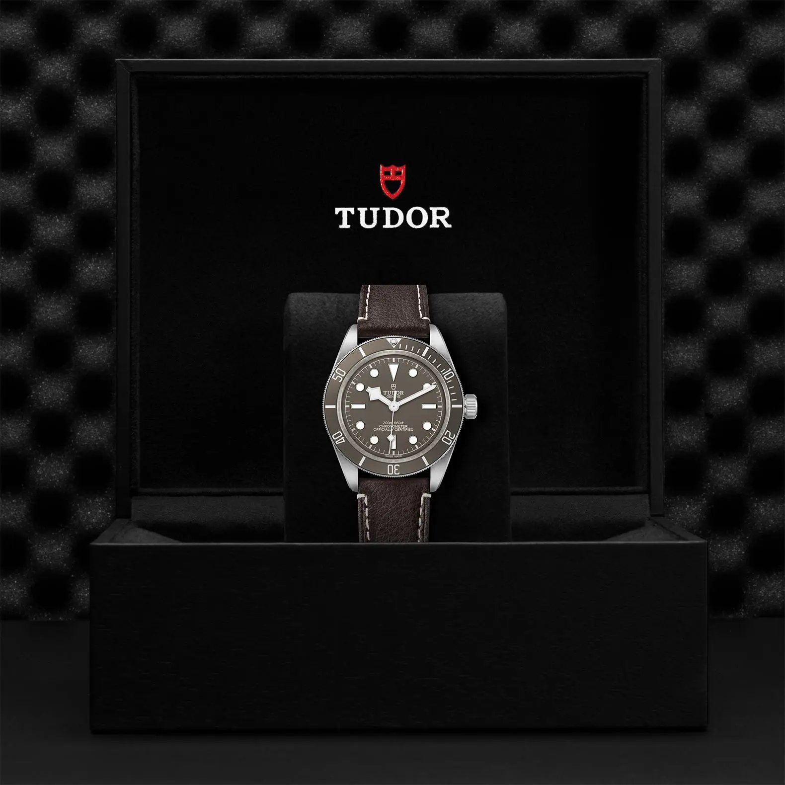 TUDORBlack Bay 58 925Black Bay 5839mm 925 silver case, satin finished Open case back with sapphire crystal - M79010SG-0001 at Cortina Watch Malaysia