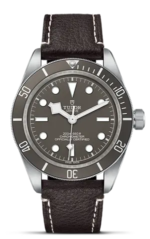 TUDORBlack Bay 58 925Black Bay 5839mm 925 silver case, satin finished Open case back with sapphire crystal - M79010SG-0001 at Cortina Watch Malaysia