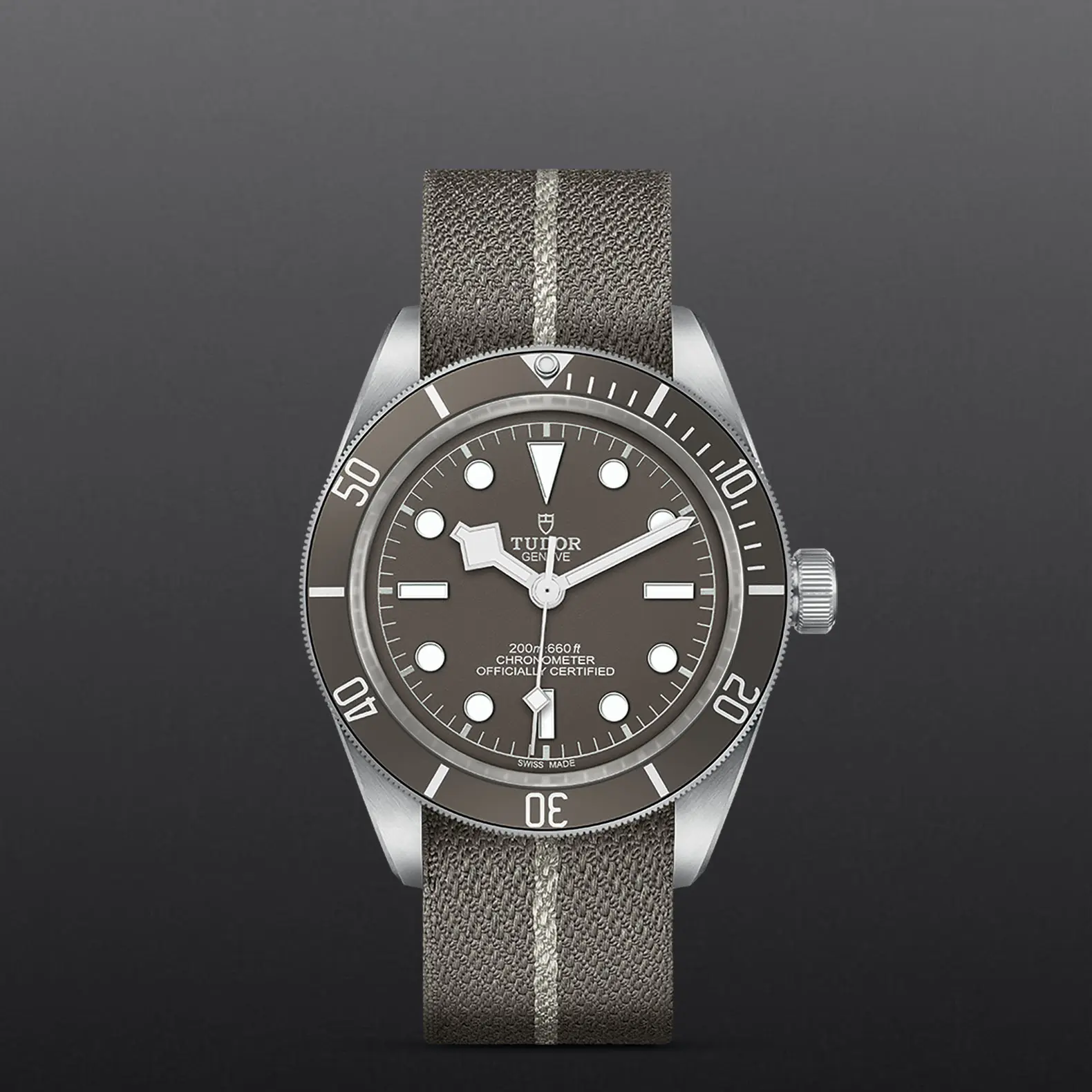 TUDORBlack Bay 58 925Black Bay 5839mm 925 silver case, satin finished Open case back with sapphire crystal - M79010SG-0002 at Cortina Watch Malaysia