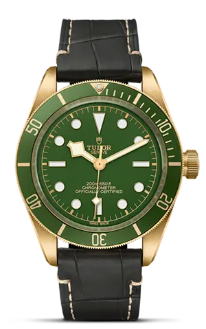 TUDORBlack Bay 58 18KBlack Bay 5839mm case, satin finished, in 18 ct yellow gold Open case back with sapphire crystal - M79018V-0001 at Cortina Watch Malaysia