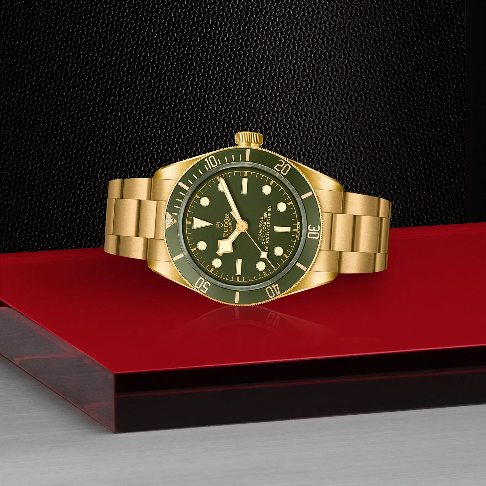 TUDORBlack Bay 58 18KBlack Bay 5839mm case, satin finished, in 18 ct yellow gold Open case back with sapphire crystal - M79018V-0006 at Cortina Watch Malaysia