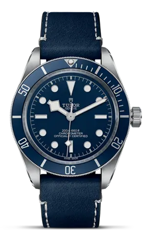 TUDORBlack Bay 58Black Bay 5839mm steel case with polished and satin finish - M79030B-0002 at Cortina Watch Malaysia