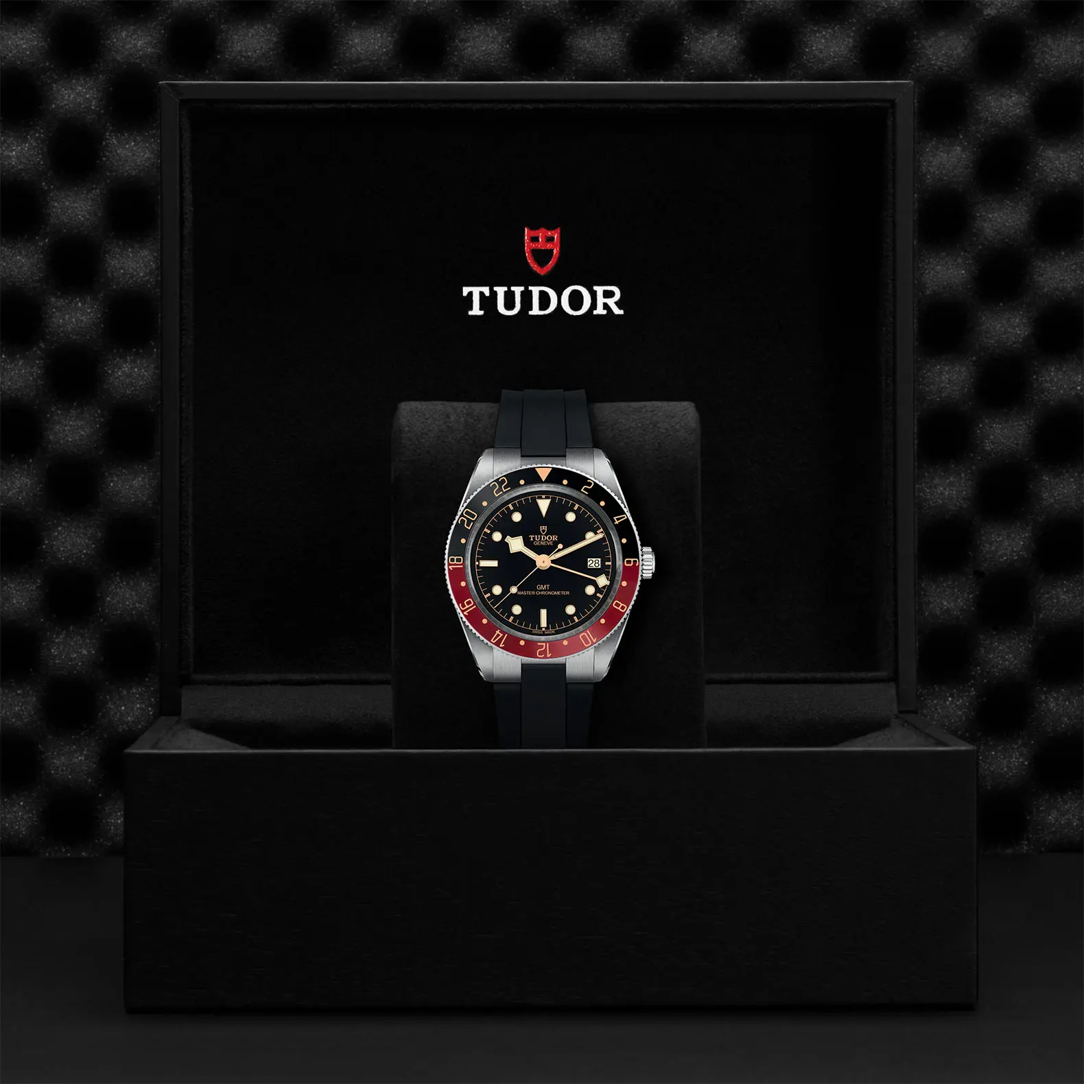 TUDORBlack Bay 58 GMTBlack Bay 5839mm stainless steel case with polished and satin finishes - M7939G1A0NRU-0002 at Cortina Watch Malaysia
