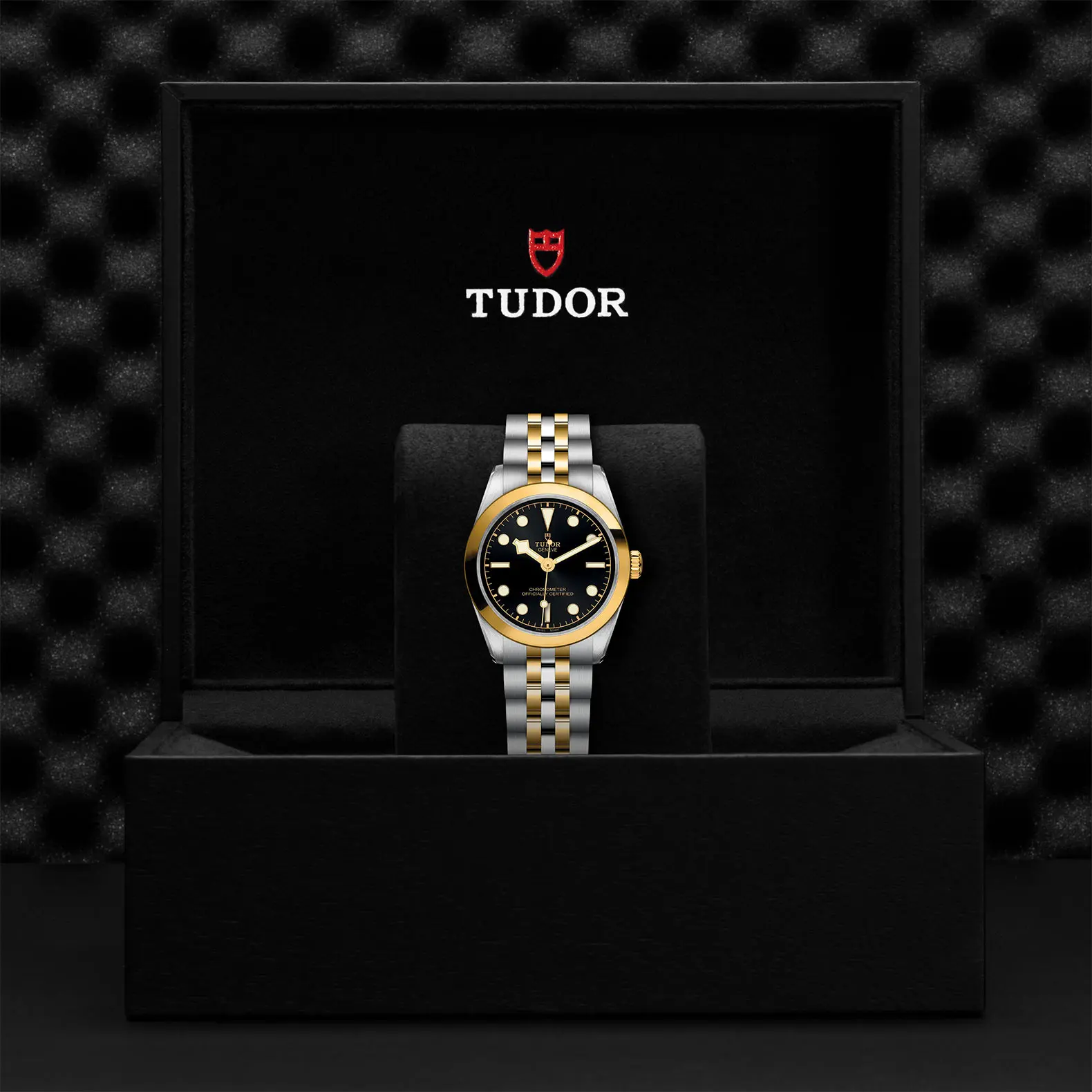 TUDORBlack Bay 31 S&GBlack Bay 31/36/39/4131mm 316L steel case with polished and satin finish - M79603-0001 at Cortina Watch Malaysia