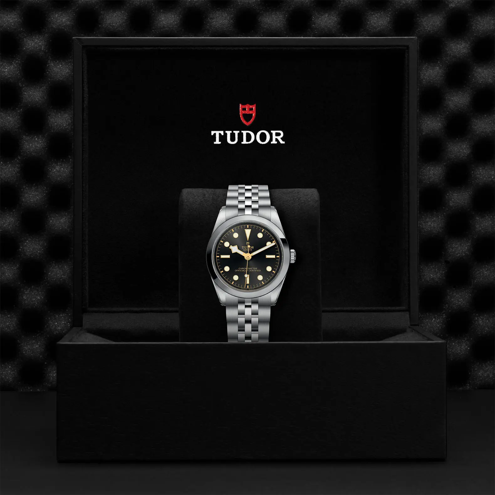 TUDORBlack Bay 36Black Bay 31/36/39/4136mm steel case with polished and satin finish - M79640-0001 at Cortina Watch Malaysia