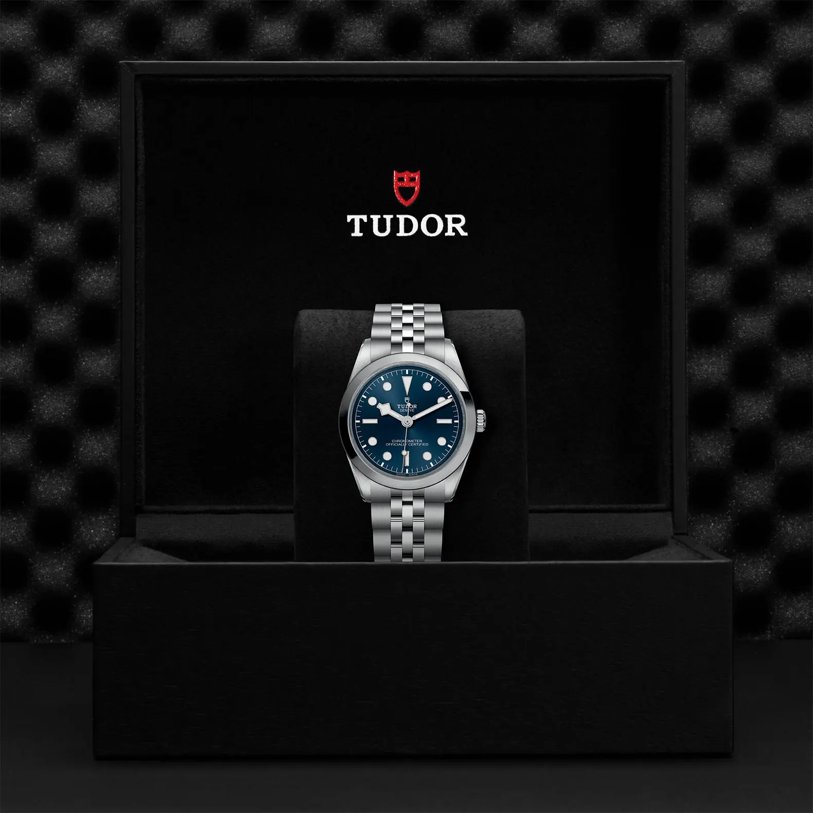 TUDORBlack Bay 36Black Bay 31/36/39/4136mm steel case with polished and satin finish - M79640-0002 at Cortina Watch Malaysia