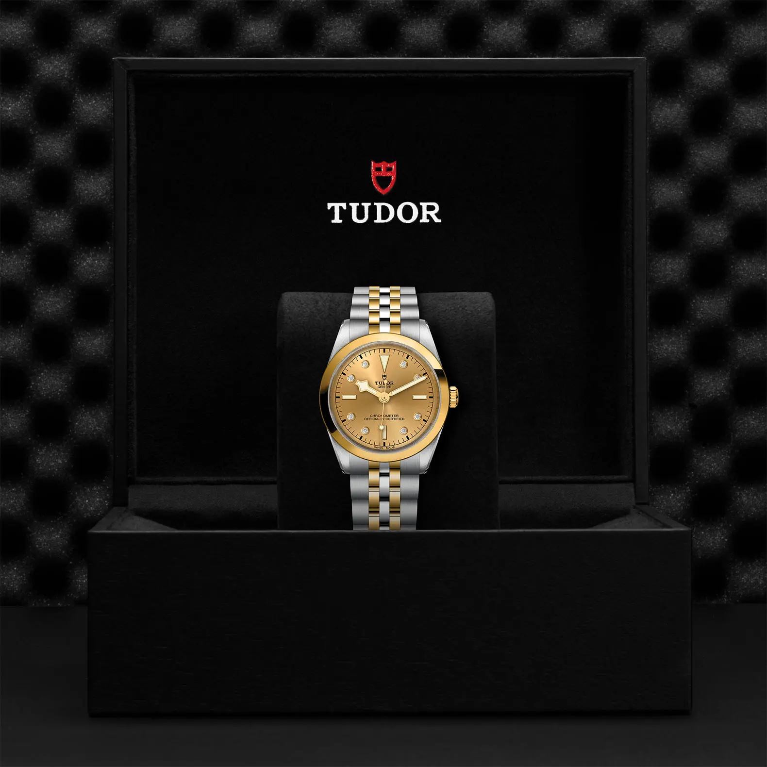 TUDORBlack Bay 36 S&GBlack Bay 31/36/39/4136mm steel case with polished and satin finish - M79643-0008 at Cortina Watch Malaysia