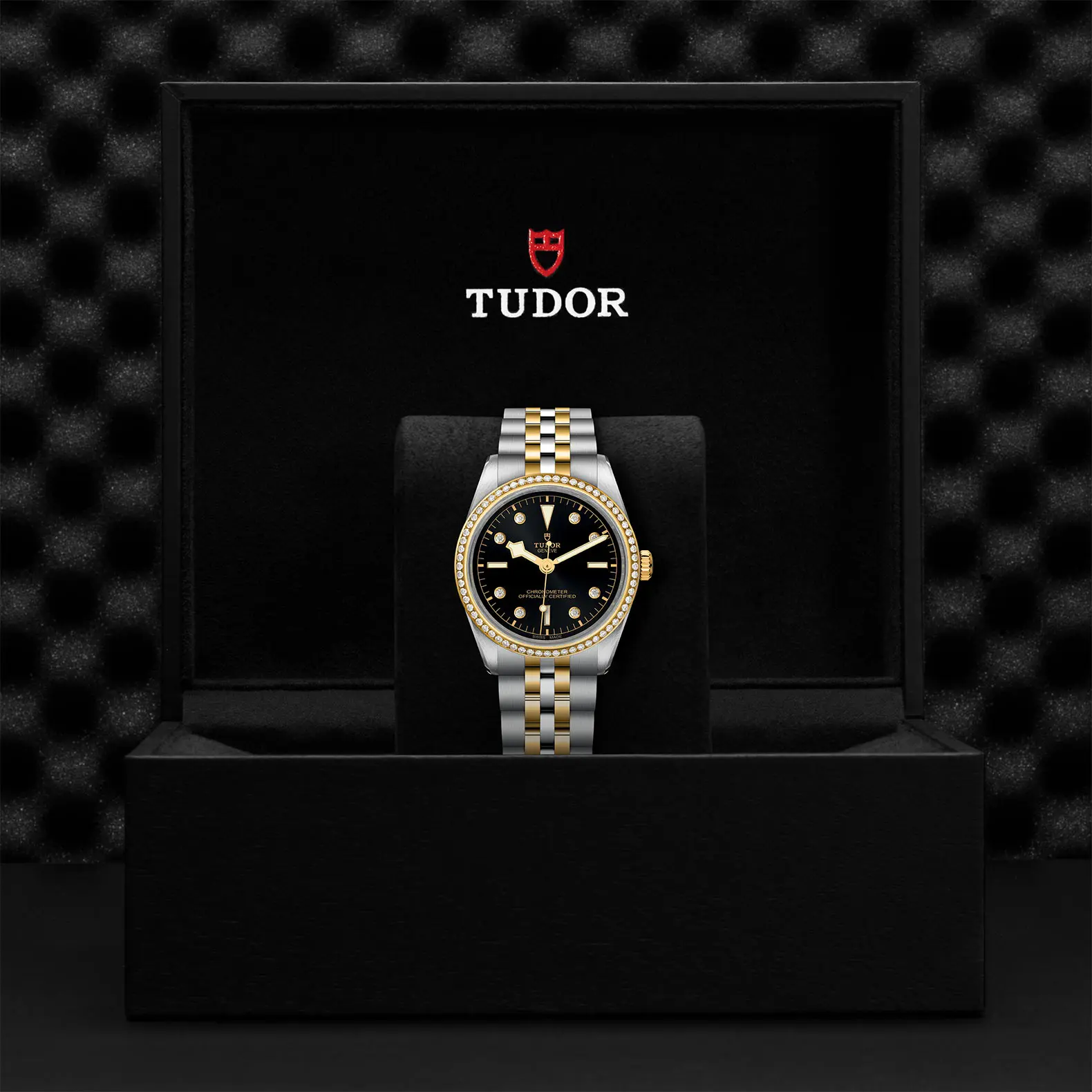 TUDORBlack Bay 36 S&GBlack Bay 31/36/39/4136mm steel case with polished and satin finish - M79653-0005 at Cortina Watch Malaysia