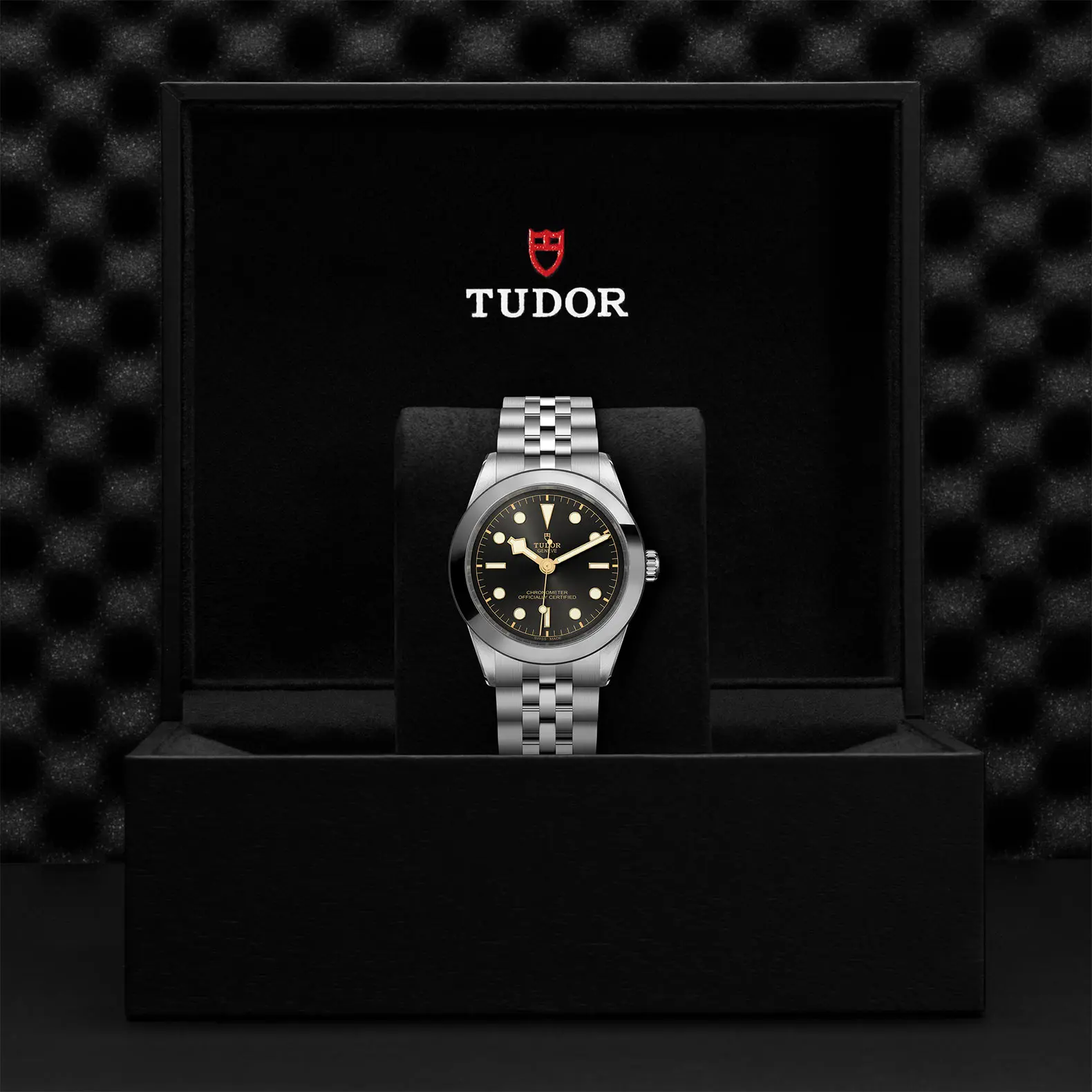 TUDORBlack Bay 39Black Bay 31/36/39/4139mm stainless steel case with polished and satin finish - M79660-0001 at Cortina Watch Malaysia