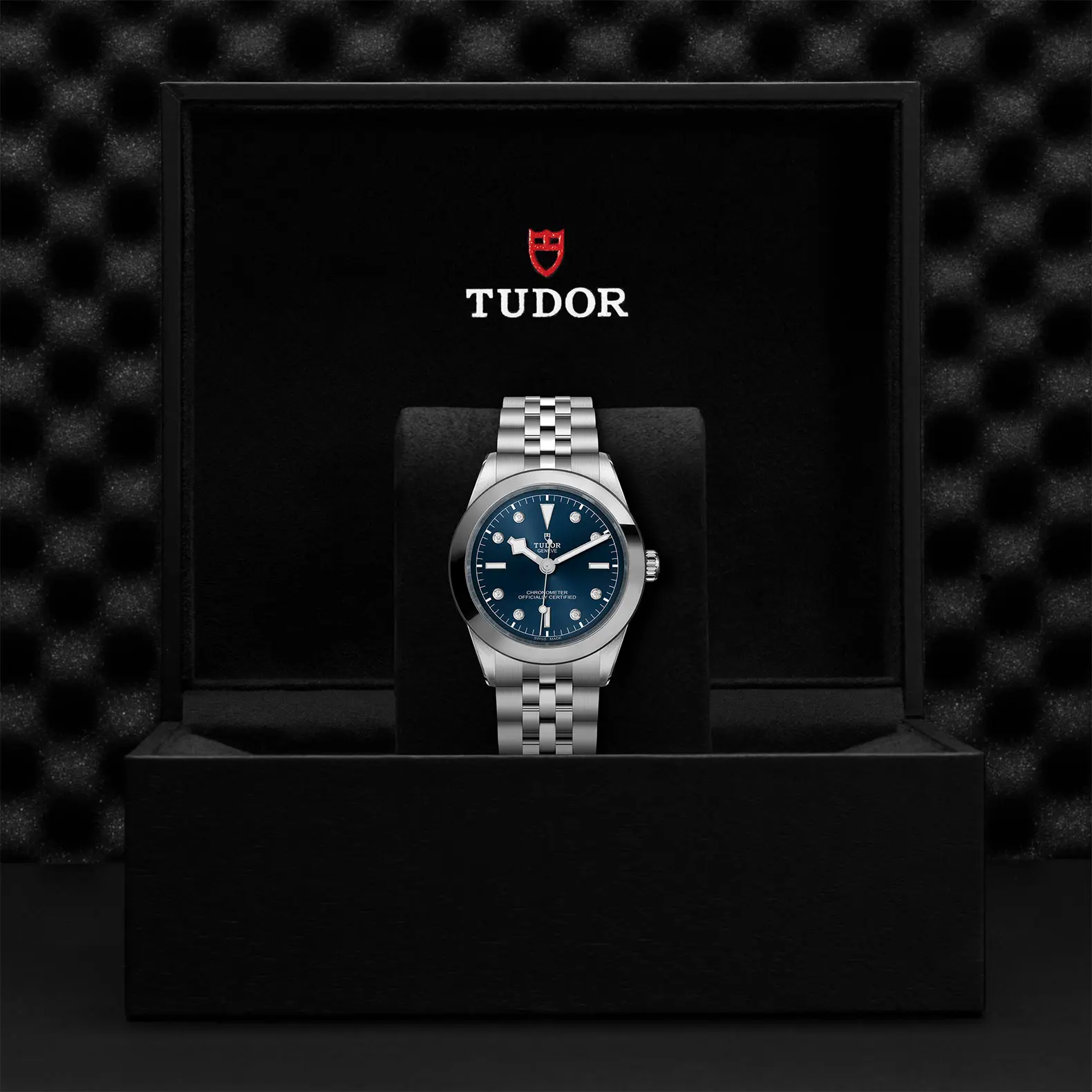 TUDORBlack Bay 39Black Bay 31/36/39/4139mm stainless steel case with polished and satin finish - M79660-0005 at Cortina Watch Malaysia