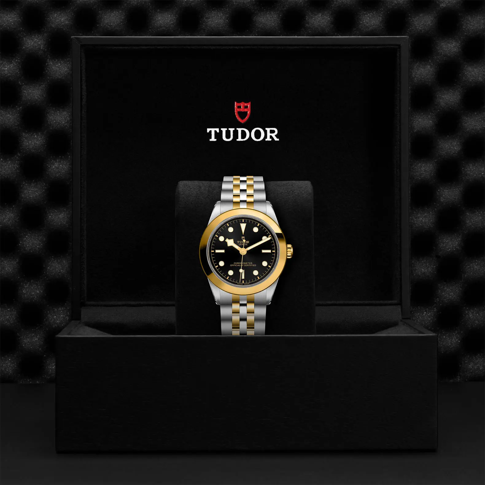 TUDORBlack Bay 39 S&GBlack Bay 31/36/39/4139mm steel case with polished and satin finish - M79663-0001 at Cortina Watch Malaysia