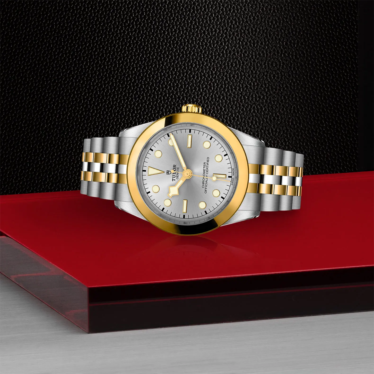 TUDORBlack Bay 39 S&GBlack Bay 31/36/39/4139mm steel case with polished and satin finish - M79663-0002 at Cortina Watch Malaysia