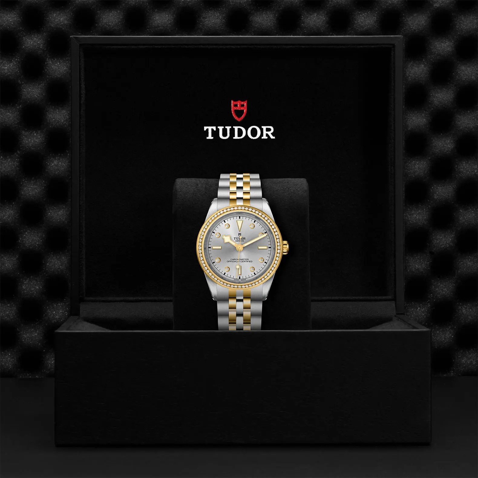 TUDORBlack Bay 39 S&GBlack Bay 31/36/39/4139mm steel case with polished and satin finish - M79673-0006 at Cortina Watch Malaysia