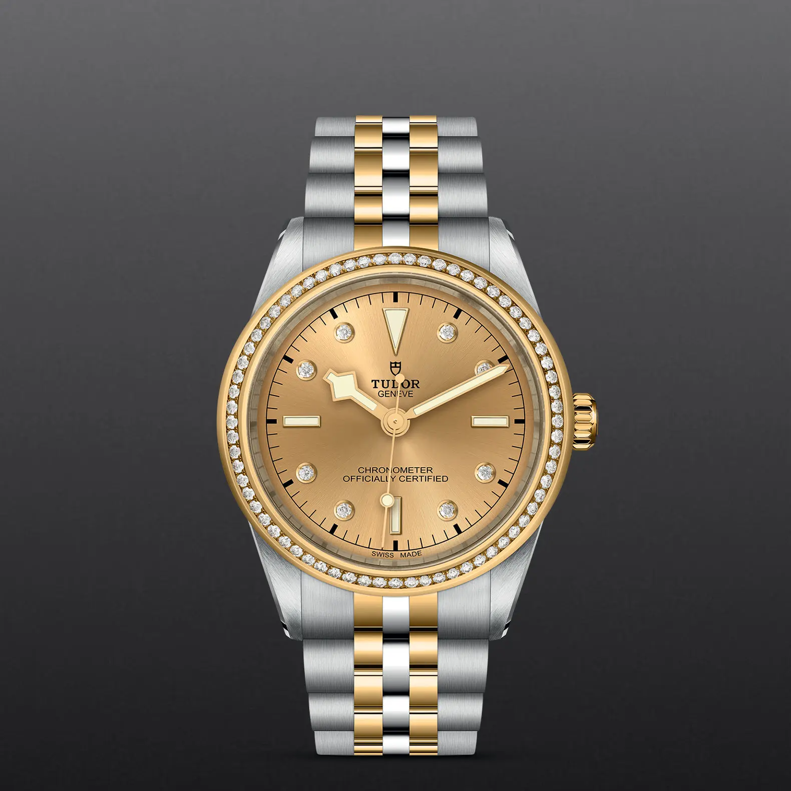 TUDORBlack Bay 39 S&GBlack Bay 31/36/39/4139mm steel case with polished and satin finish - M79673-0007 at Cortina Watch Malaysia