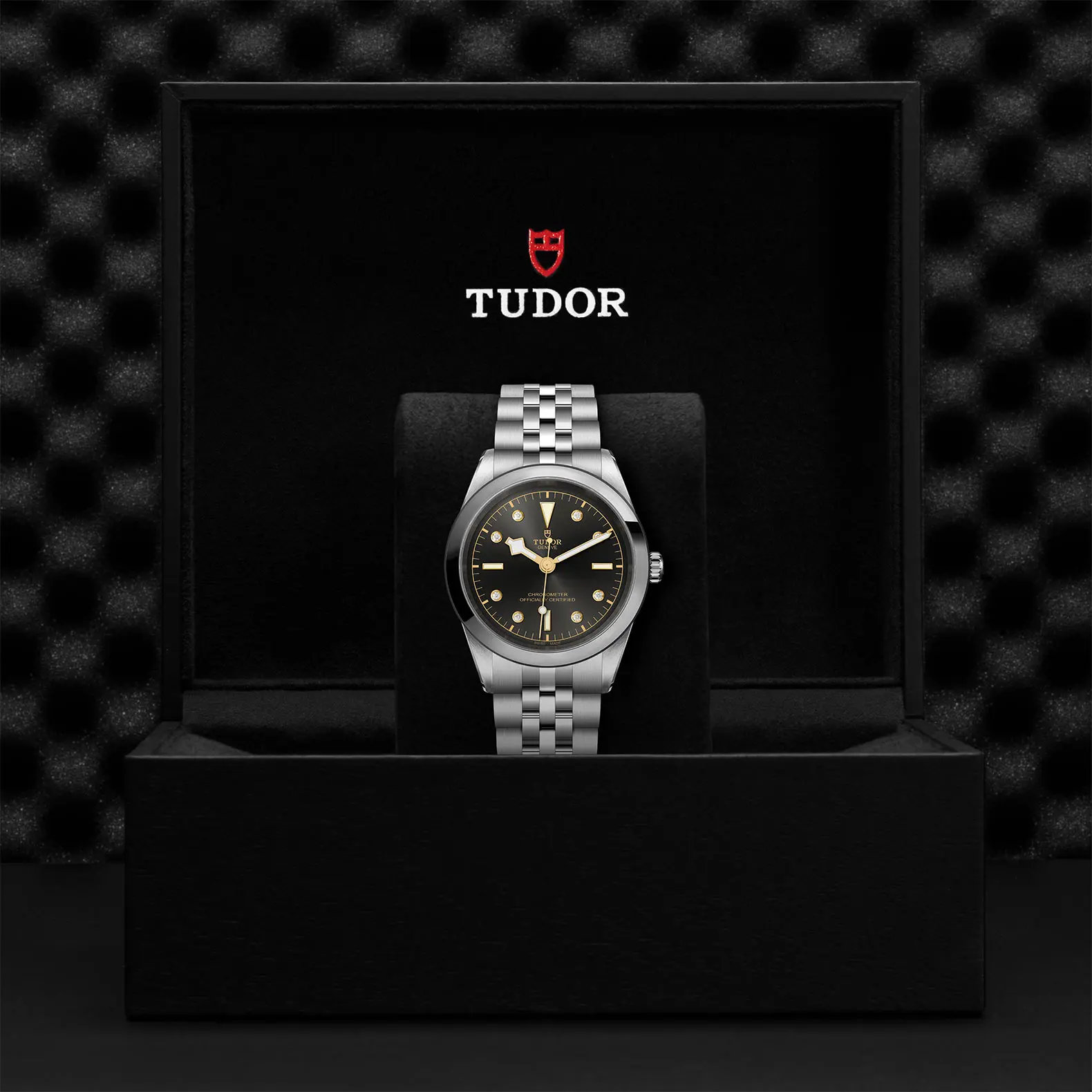 TUDORBlack Bay 41Black Bay 31/36/39/4141mm steel case with polished and satin finish - M79680-0004 at Cortina Watch Malaysia