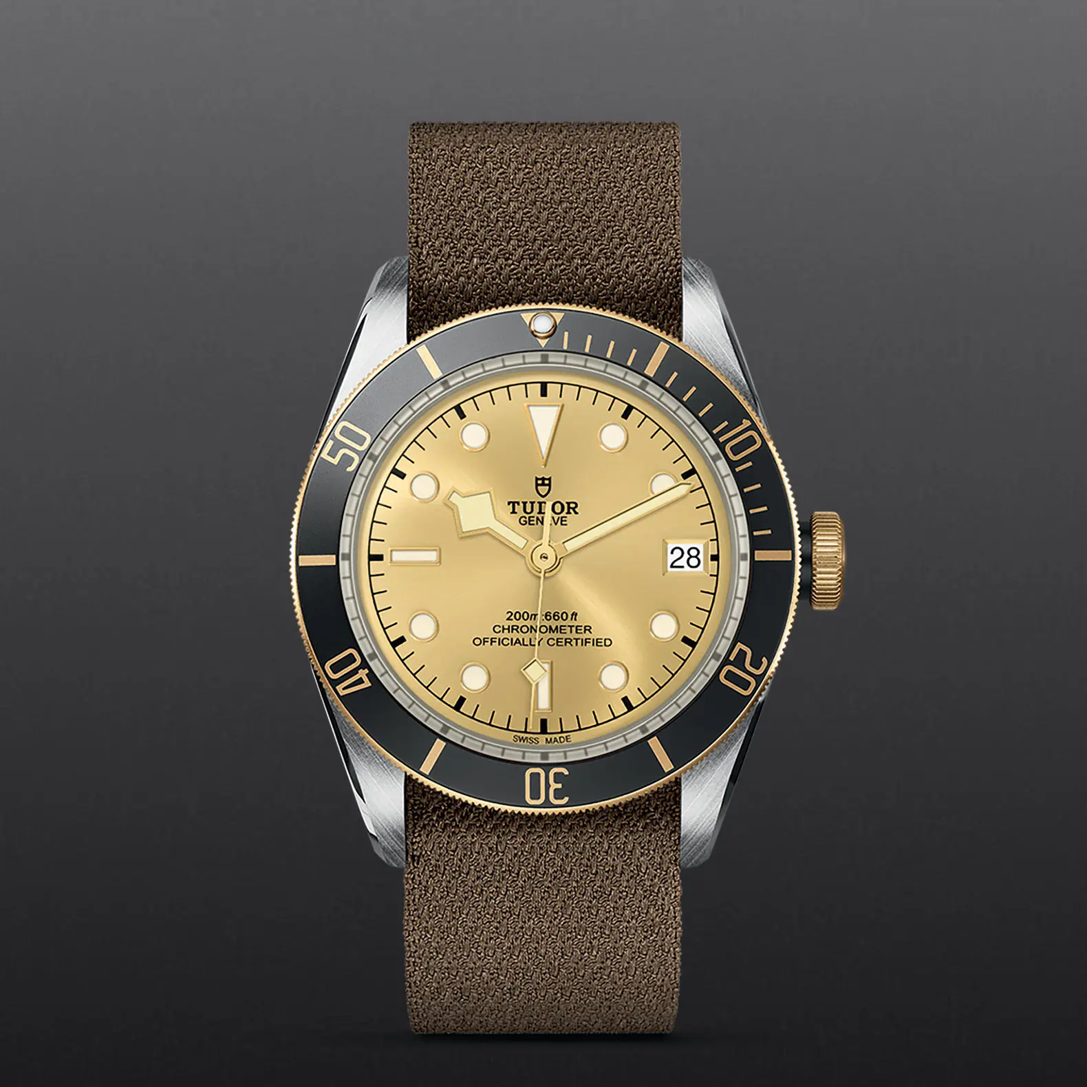 TUDORBlack Bay S&GBlack Bay41mm steel case with polished and satin finish - M79733N-0006 at Cortina Watch Malaysia