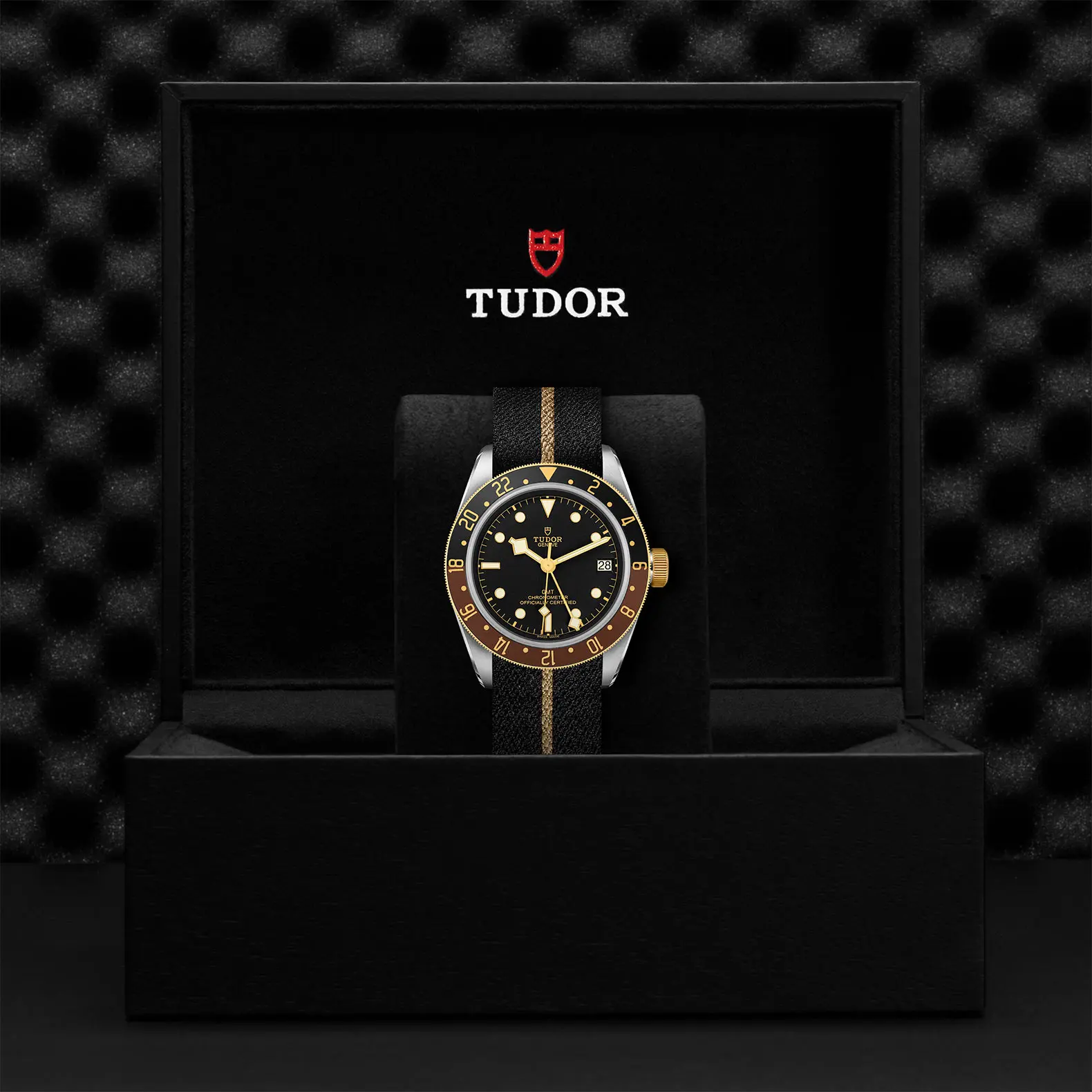 TUDORBlack Bay GMT S&GBlack Bay GMT41mm steel case with polished and satin finish - M79833MN-0004 at Cortina Watch Malaysia