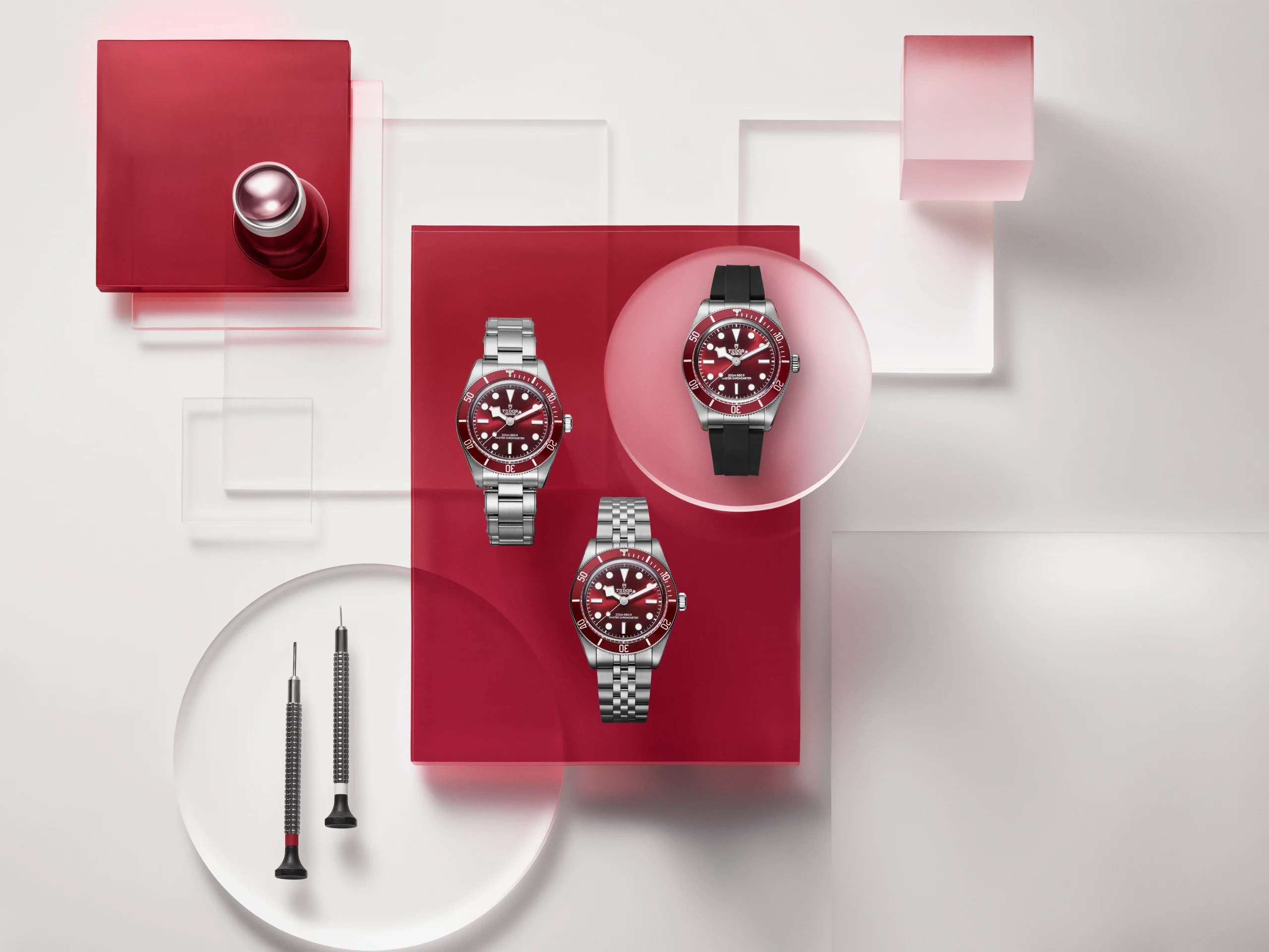 Watches & Wonders 2025: Tudor New Releases - Cortina Watch Malaysia