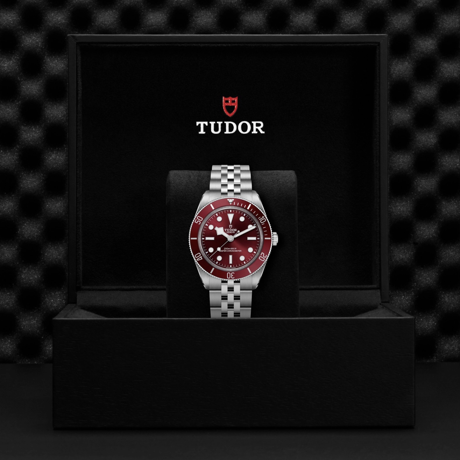TUDORBlack Bay 58Black Bay 5839mm stainless steel case with polished and satin finishes - M7939A1A0RU-0001 at Cortina Watch Malaysia
