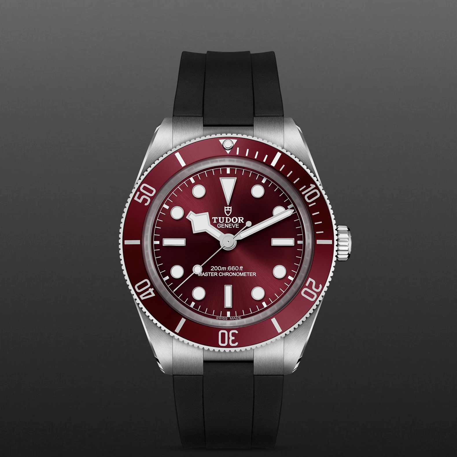 TUDORBlack Bay 58Black Bay 5839mm stainless steel case with polished and satin finishes - M7939A1A0RU-0003 at Cortina Watch Malaysia