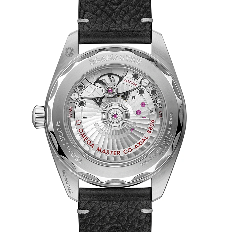 Seamaster Railmaster - Cortina Watch Malaysia