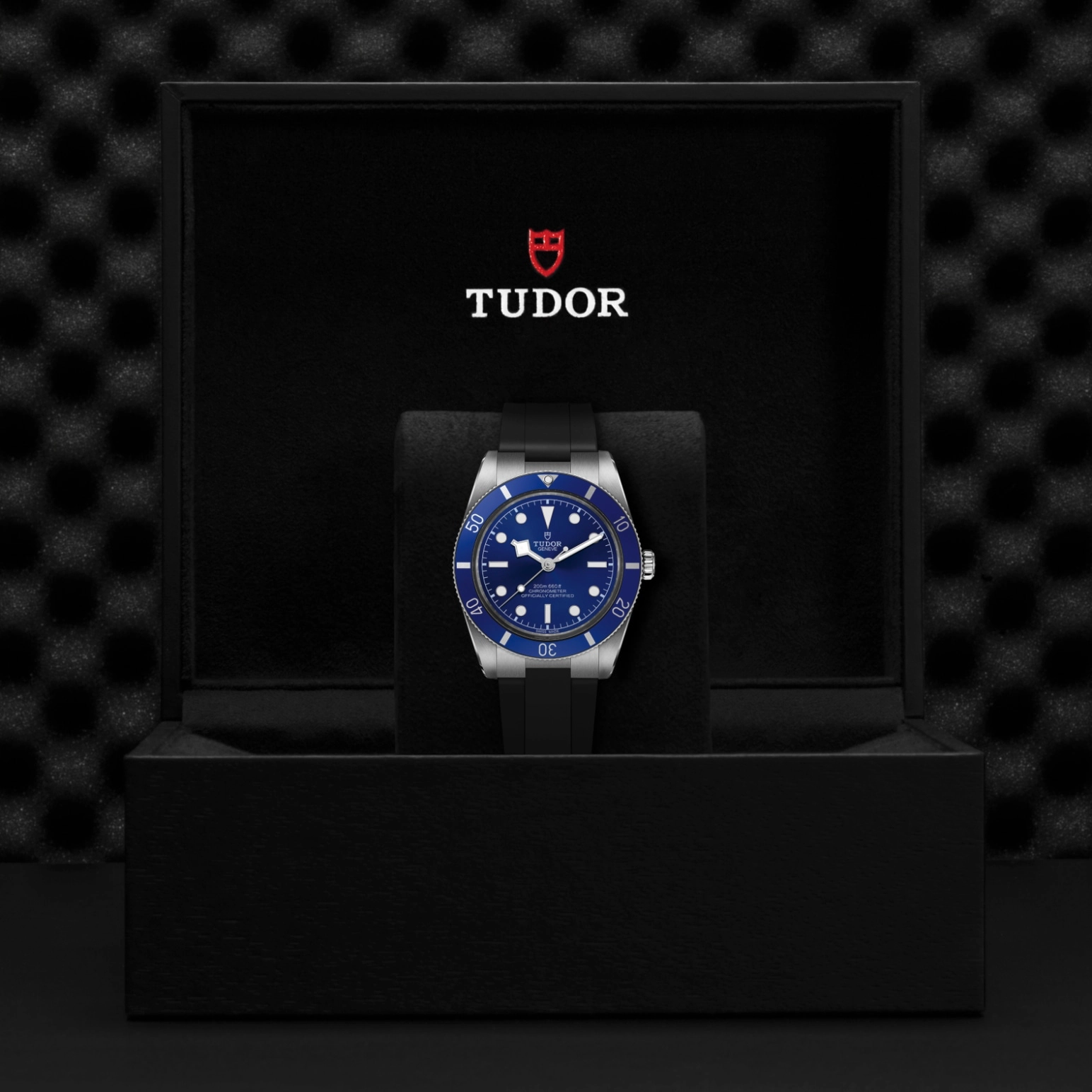TUDORBlack Bay 54碧湾54型磨光及磨砂不锈钢表壳，直径37毫米 - M79000B-0002 at Cortina Watch Malaysia