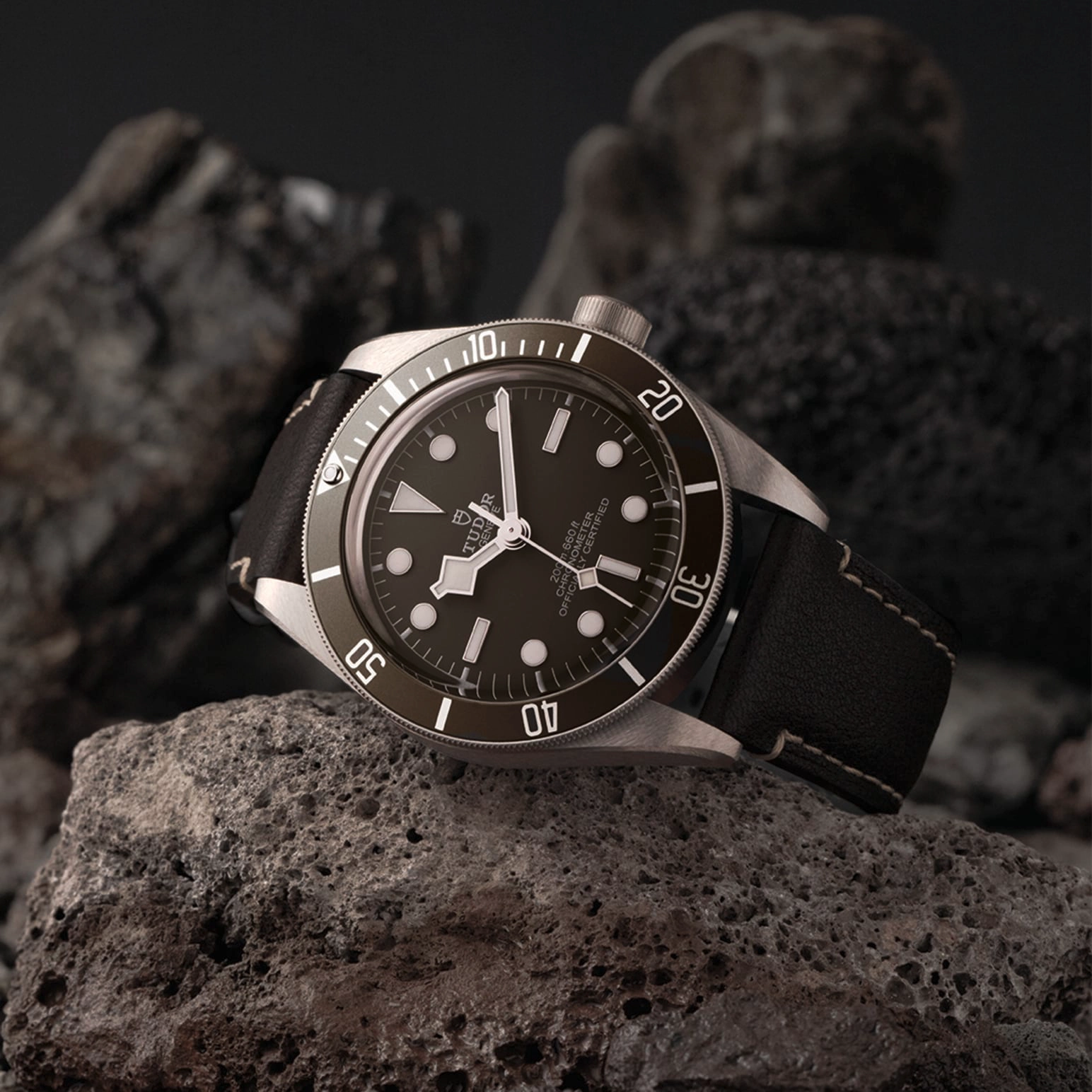 TUDORBlack Bay 58 925碧湾1958型磨砂925银表壳，直径39毫米 
 透明蓝水晶镜面底盖 - M79010SG-0001 at Cortina Watch Malaysia