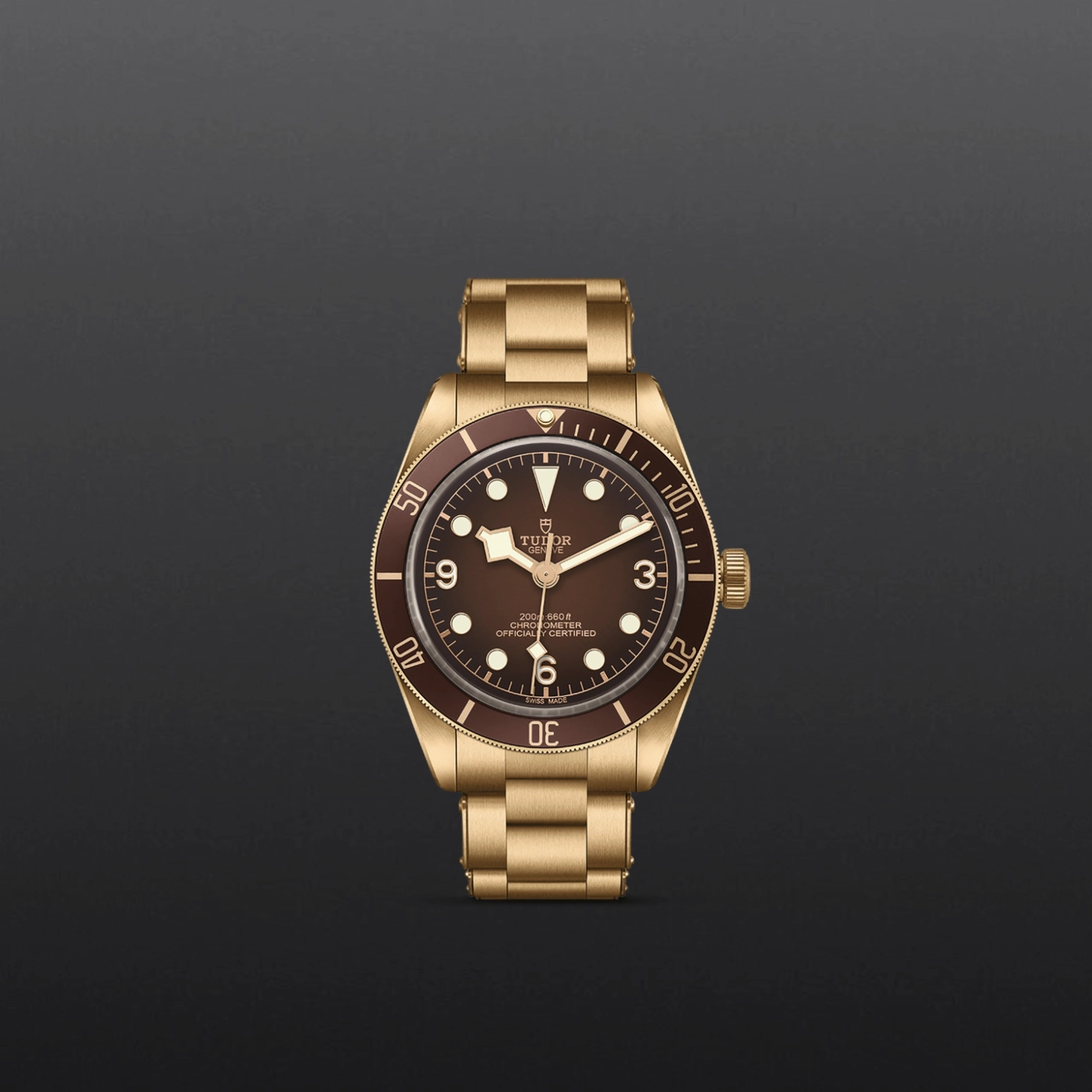 TUDORBlack Bay 58 Bronze碧湾1958型磨砂青铜表壳，直径39毫米，将随佩戴者习惯，呈现出独一无二的色泽 - M79012M-0001 at Cortina Watch Malaysia
