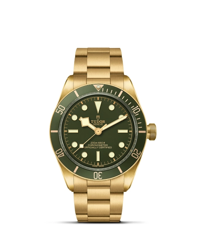 TUDORBlack Bay 58 18KBlack Bay 5839mm case, satin finished, in 18 ct yellow gold Open case back with sapphire crystal - M79018V-0006 at Cortina Watch Malaysia