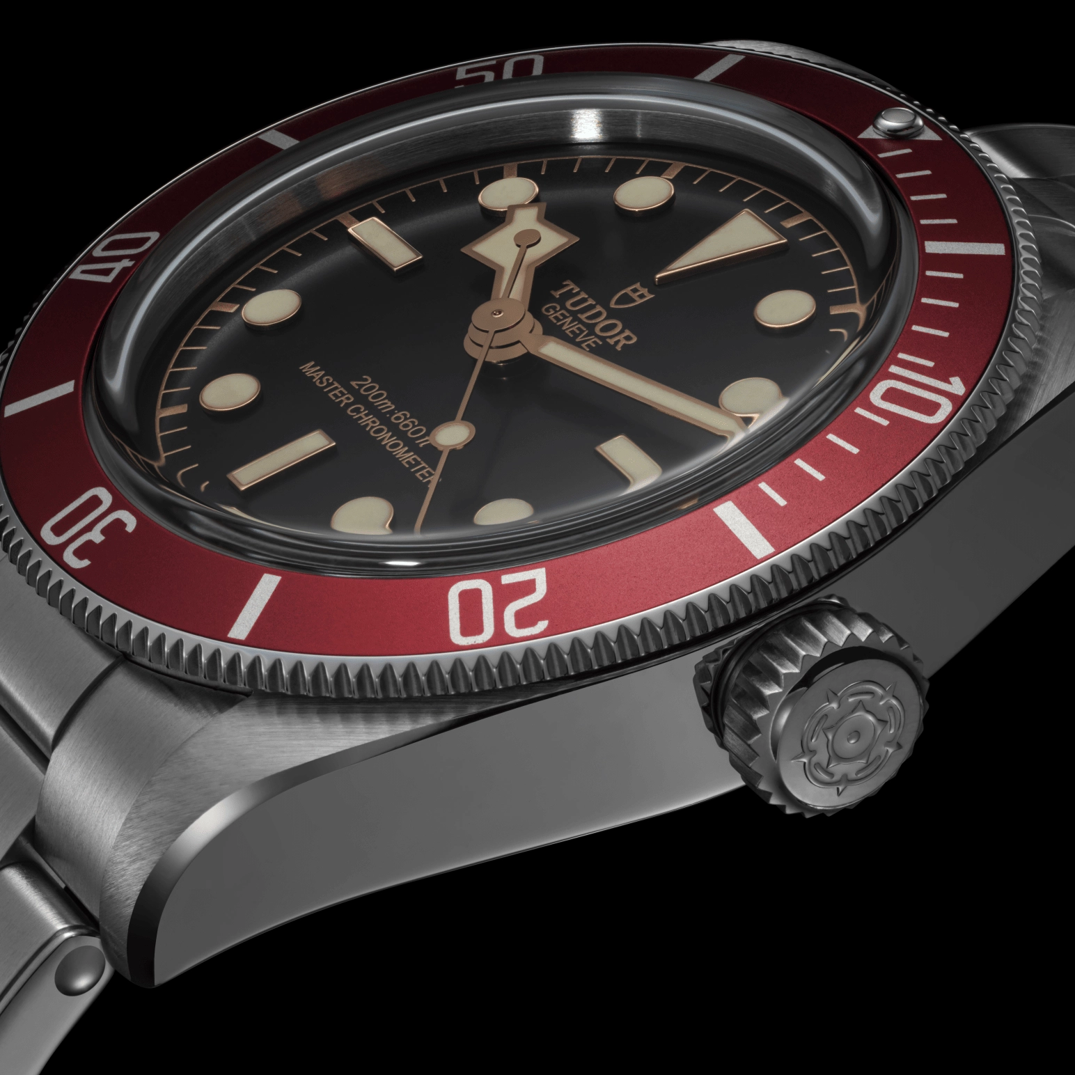 TUDORBlack BayBlack Bay41mm stainless steel case with polished and satin finish - M7941A1A0RU-0001 at Cortina Watch Malaysia