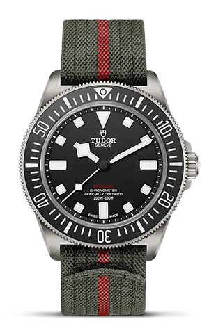 TUDORPelagos FXDPelagos FXDTitanium case, 42mm in diameter, 12.75mm thick, 52mm from lug to lug, satin-brushed finish, fixed strap bars, steel case back - M25717N-0001 at Cortina Watch Thailand