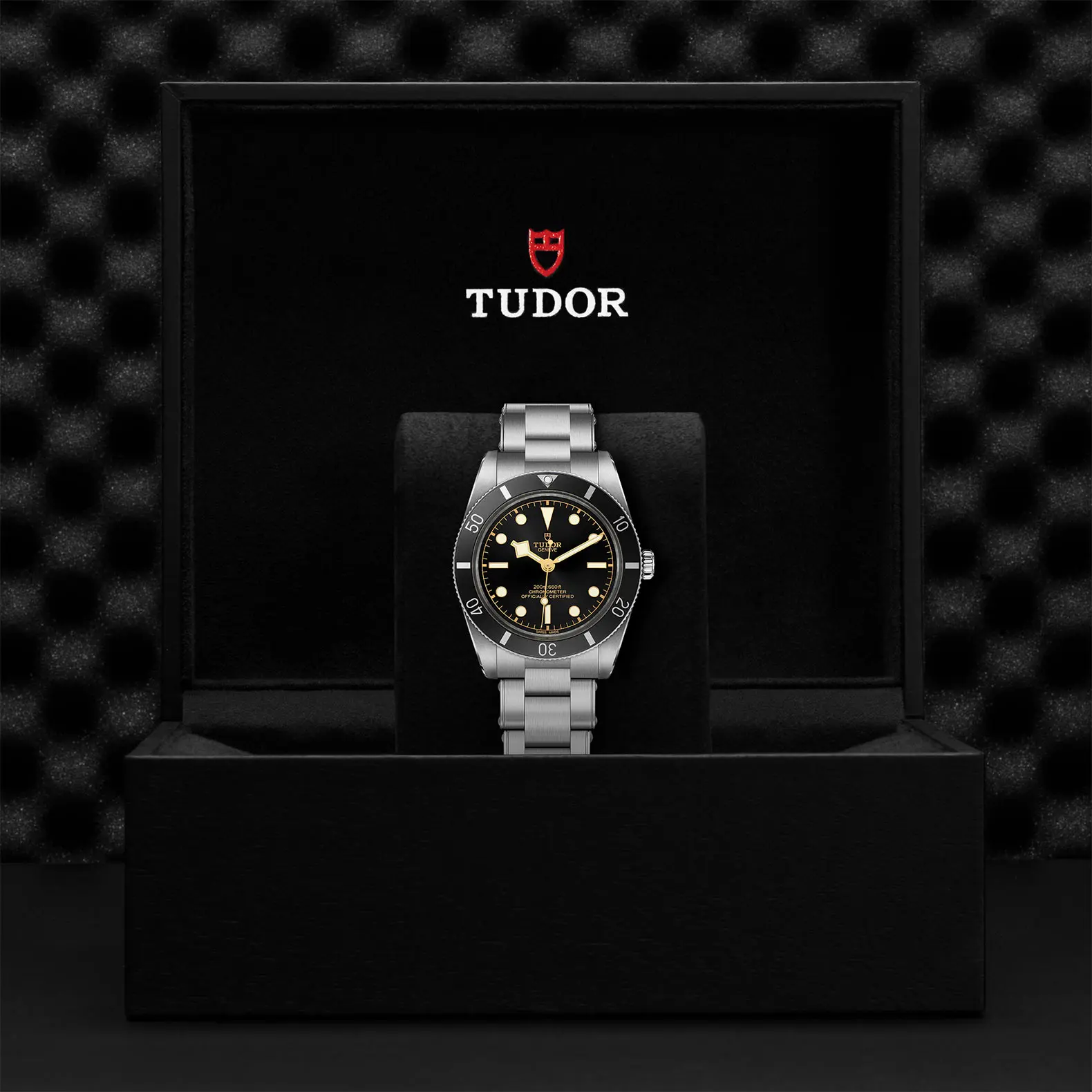 TUDORBlack Bay 54Black Bay 5437mm stainless steel case with polished and satin finish - M79000N-0001 at Cortina Watch Thailand