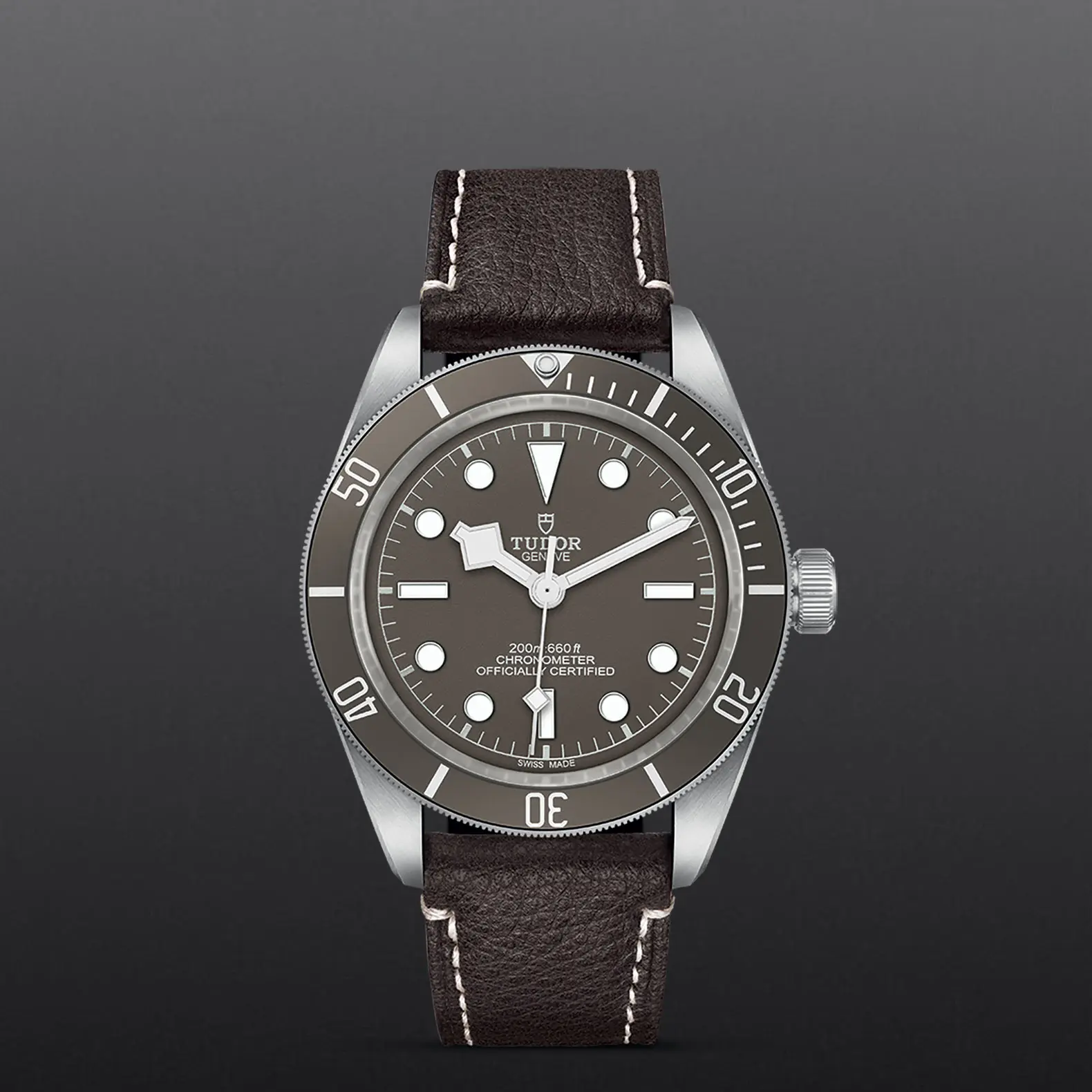 TUDORBlack Bay 58 925Black Bay 5839mm 925 silver case, satin finished Open case back with sapphire crystal - M79010SG-0001 at Cortina Watch Thailand