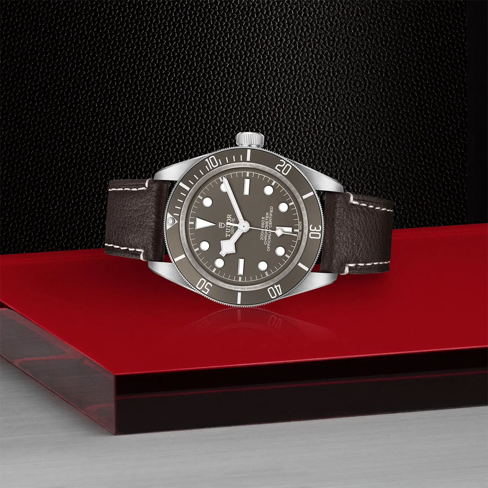 TUDORBlack Bay 58 925Black Bay 5839mm 925 silver case, satin finished Open case back with sapphire crystal - M79010SG-0001 at Cortina Watch Thailand