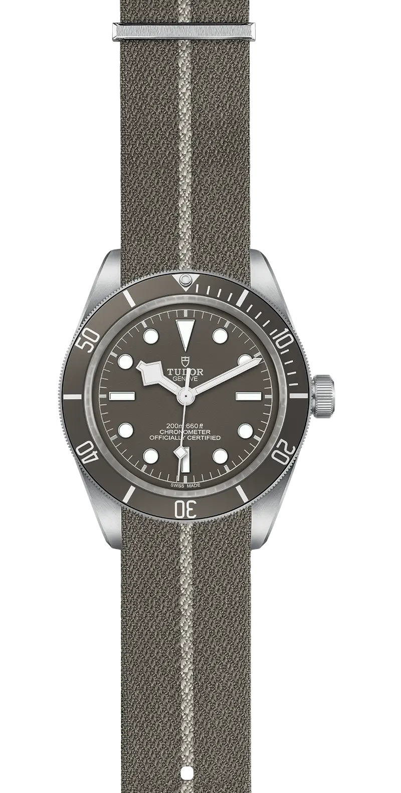 TUDORBlack Bay 58 925Black Bay 5839mm 925 silver case, satin finished Open case back with sapphire crystal - M79010SG-0002 at Cortina Watch Thailand