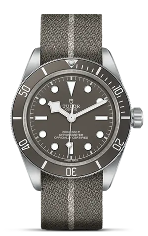 TUDORBlack Bay 58 925Black Bay 5839mm 925 silver case, satin finished Open case back with sapphire crystal - M79010SG-0002 at Cortina Watch Thailand