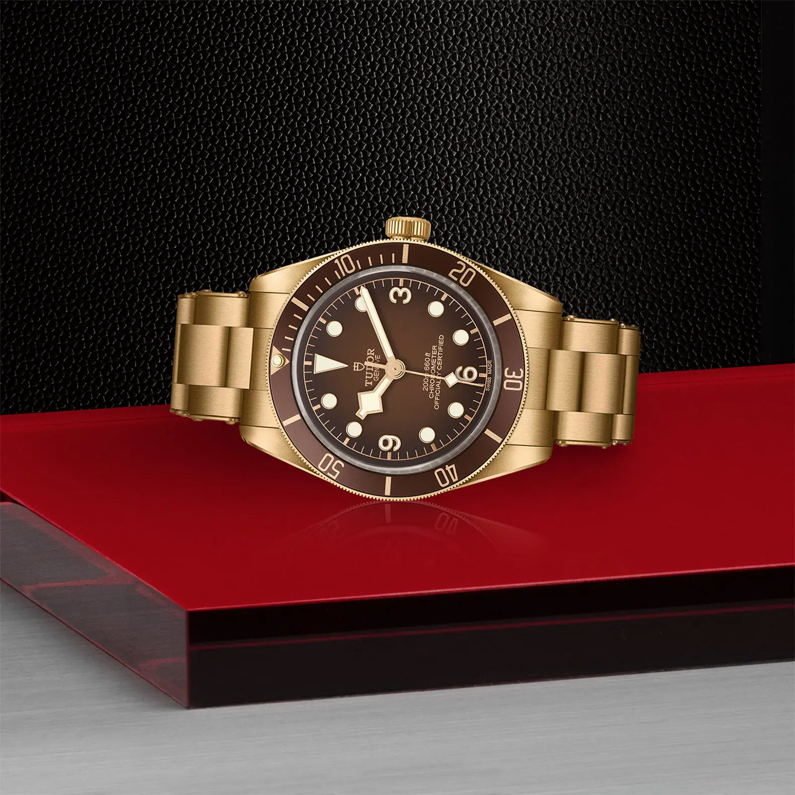 TUDORBlack Bay 58 Bronze "Boutique Edition"Black Bay 5839mm satin-brushed bronze case whose colour evolves to match its user’s habits - M79012M-0001 at Cortina Watch Thailand