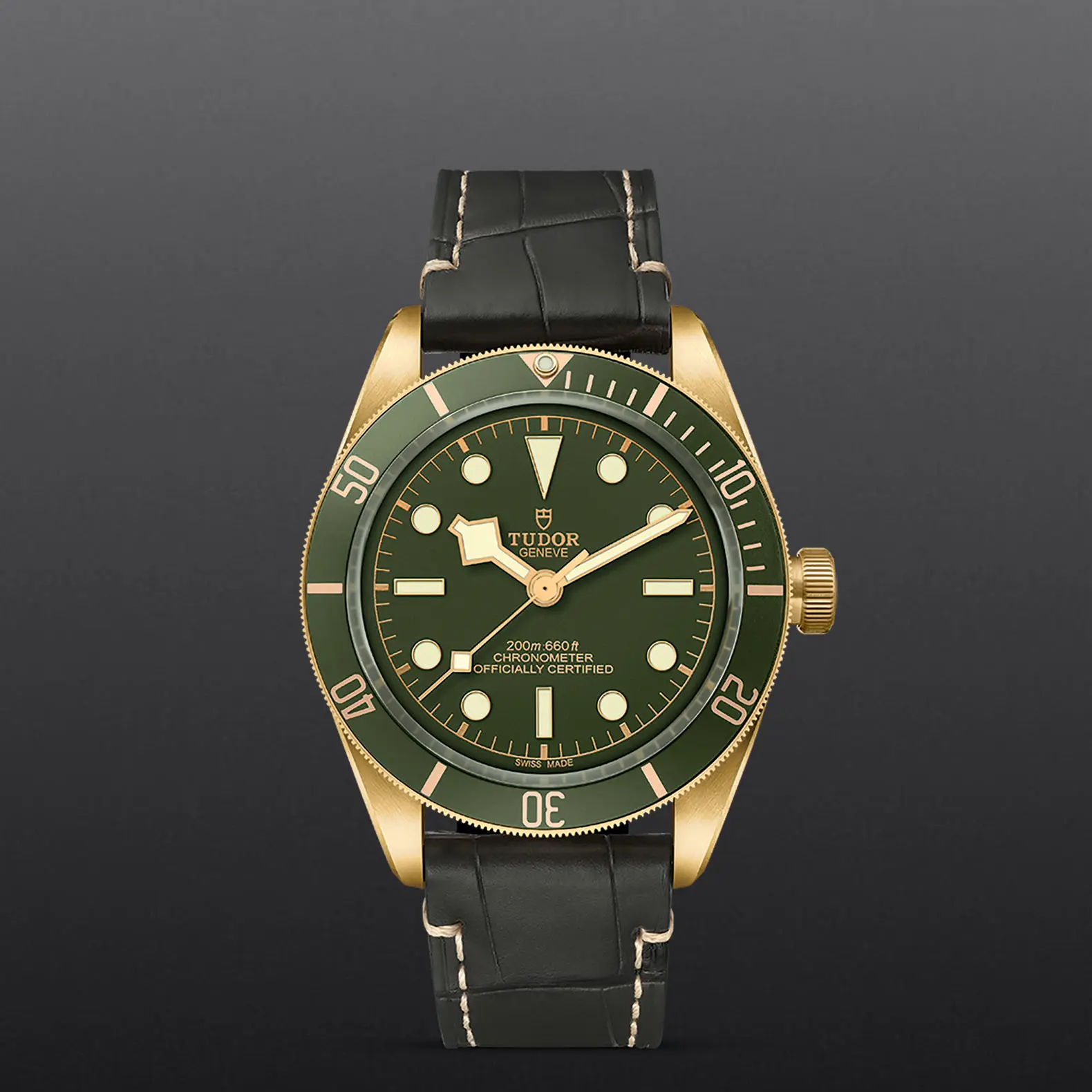 TUDORBlack Bay 58 18KBlack Bay 5839mm case, satin finished, in 18 ct yellow gold Open case back with sapphire crystal - M79018V-0001 at Cortina Watch Thailand