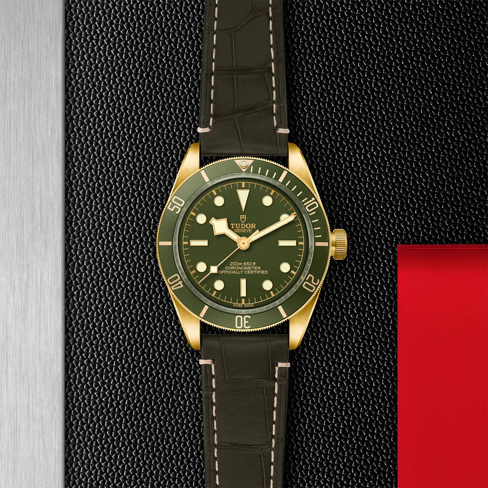 TUDORBlack Bay 58 18KBlack Bay 5839mm case, satin finished, in 18 ct yellow gold Open case back with sapphire crystal - M79018V-0001 at Cortina Watch Thailand