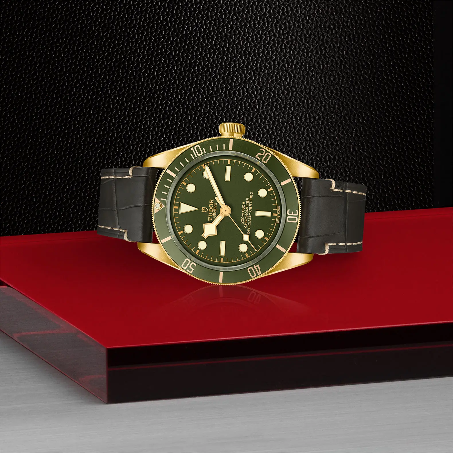 TUDORBlack Bay 58 18KBlack Bay 5839mm case, satin finished, in 18 ct yellow gold Open case back with sapphire crystal - M79018V-0001 at Cortina Watch Thailand