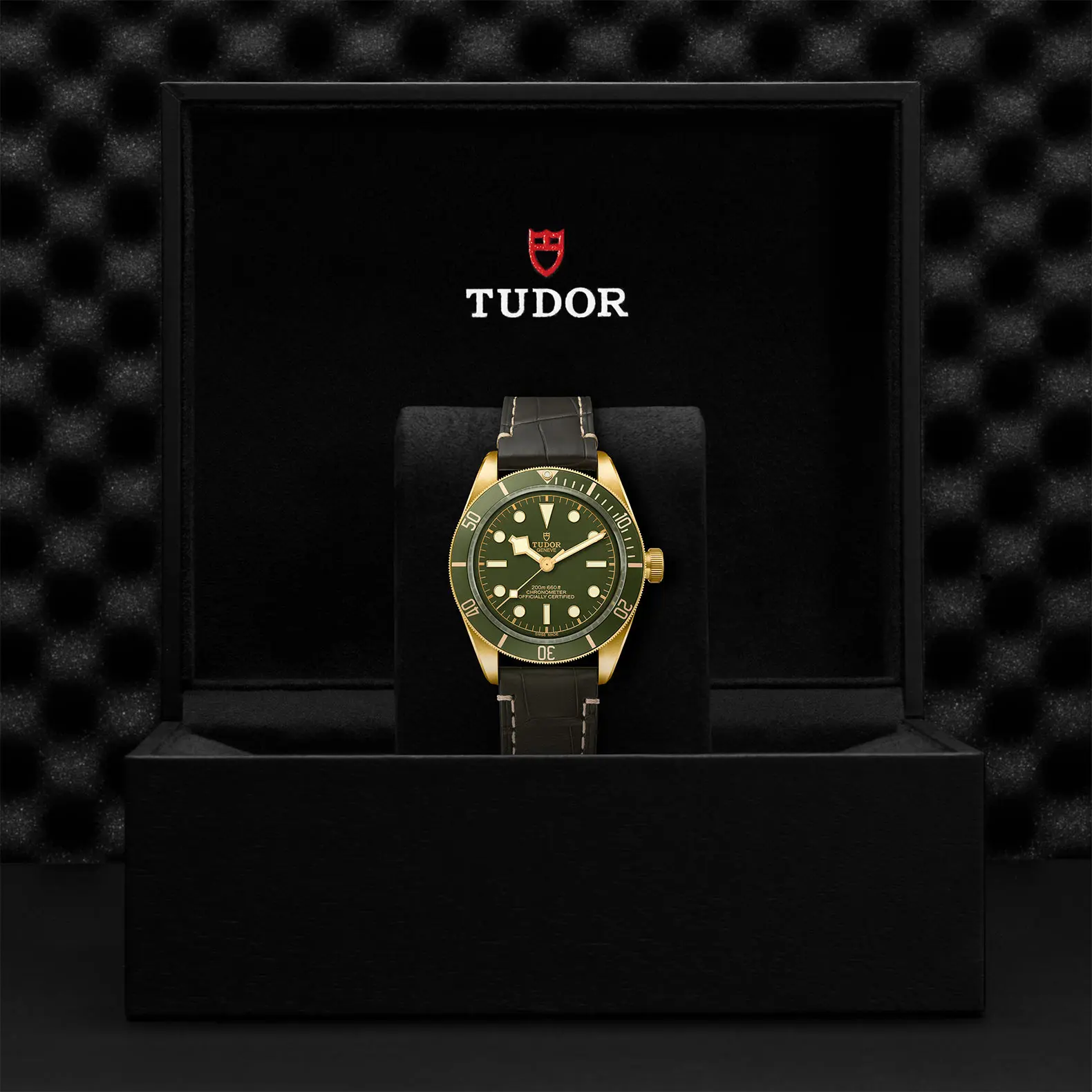 TUDORBlack Bay 58 18KBlack Bay 5839mm case, satin finished, in 18 ct yellow gold Open case back with sapphire crystal - M79018V-0001 at Cortina Watch Thailand