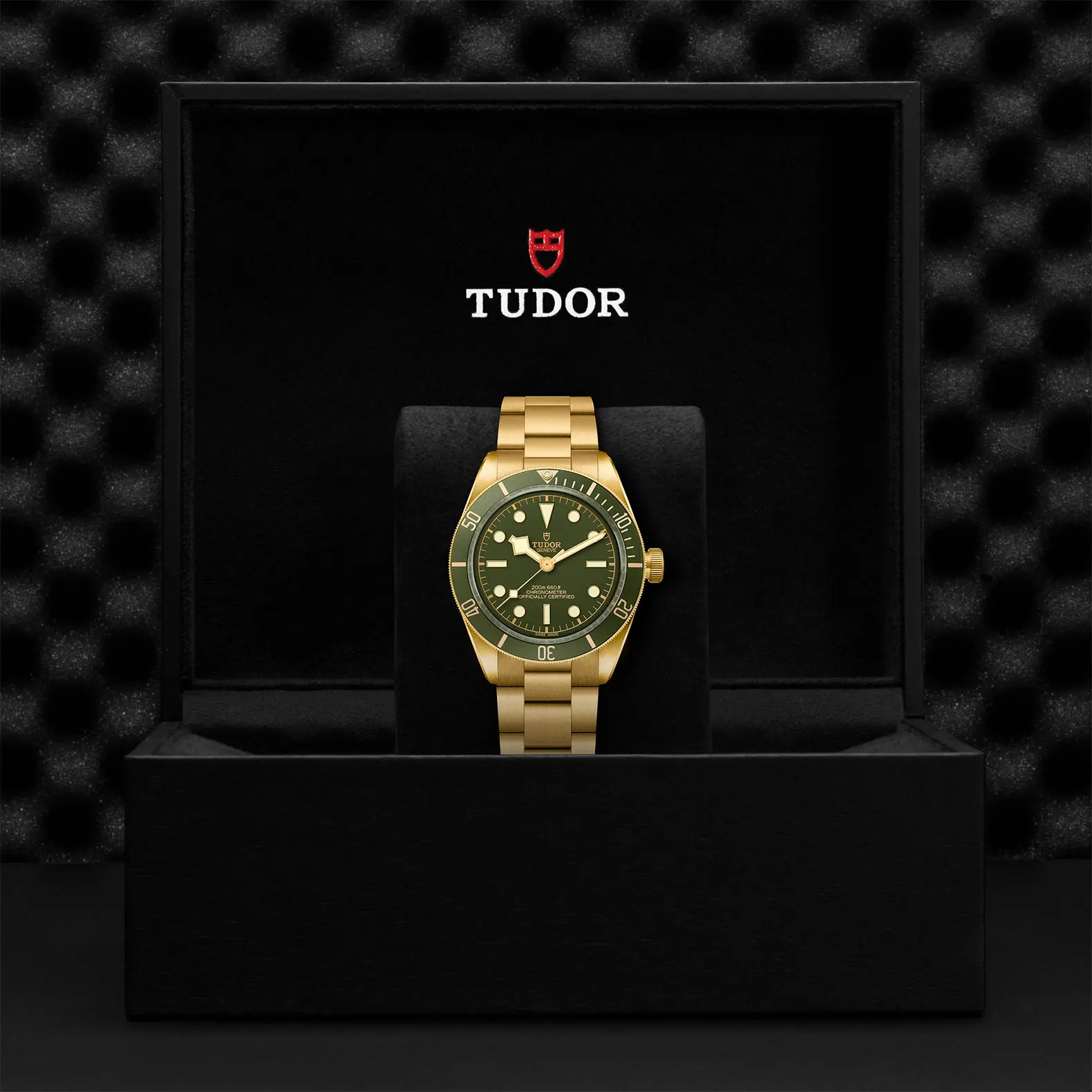 TUDORBlack Bay 58 18KBlack Bay 5839mm case, satin finished, in 18 ct yellow gold Open case back with sapphire crystal - M79018V-0006 at Cortina Watch Thailand