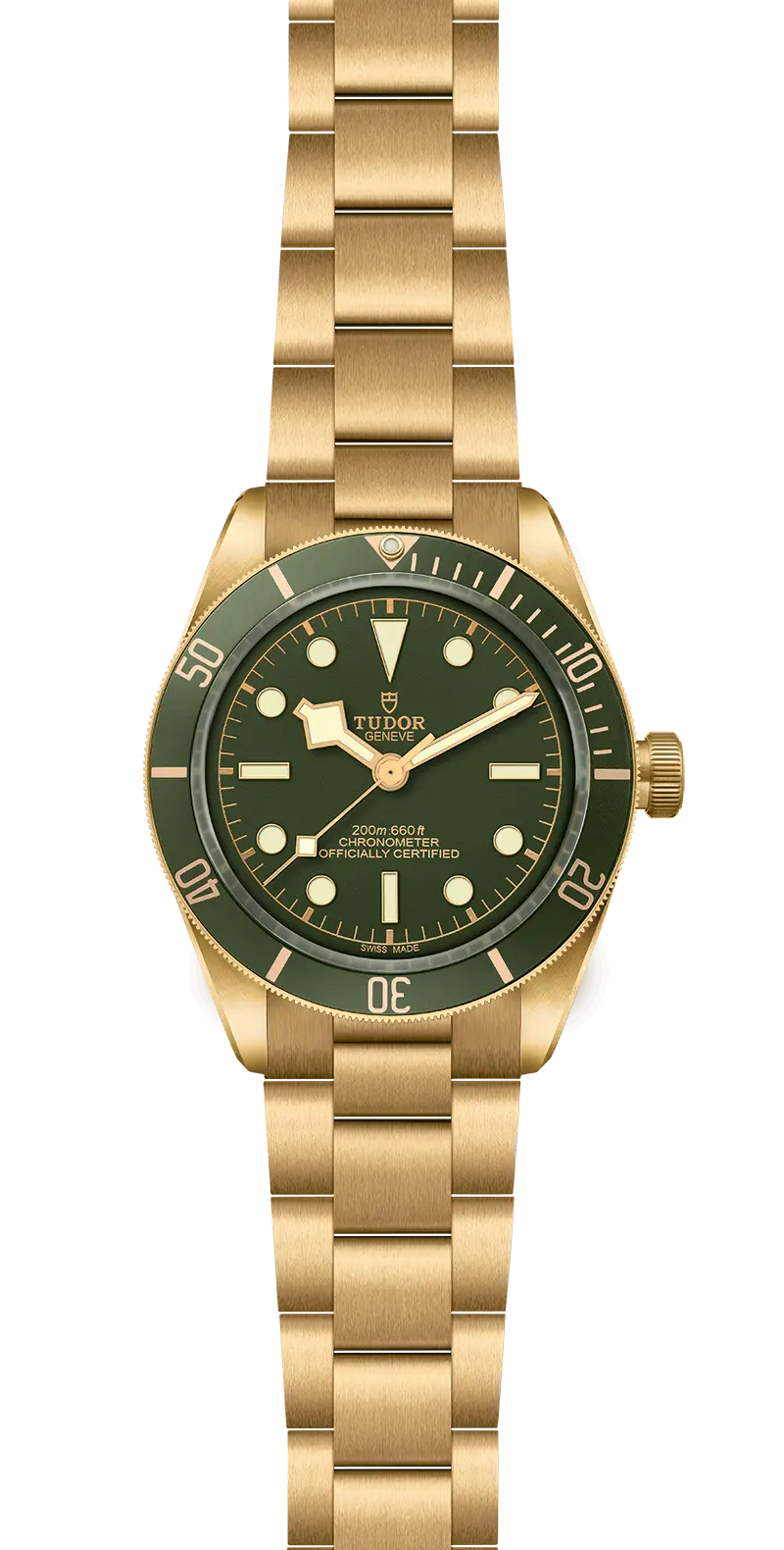 TUDORBlack Bay 58 18KBlack Bay 5839mm case, satin finished, in 18 ct yellow gold Open case back with sapphire crystal - M79018V-0006 at Cortina Watch Thailand