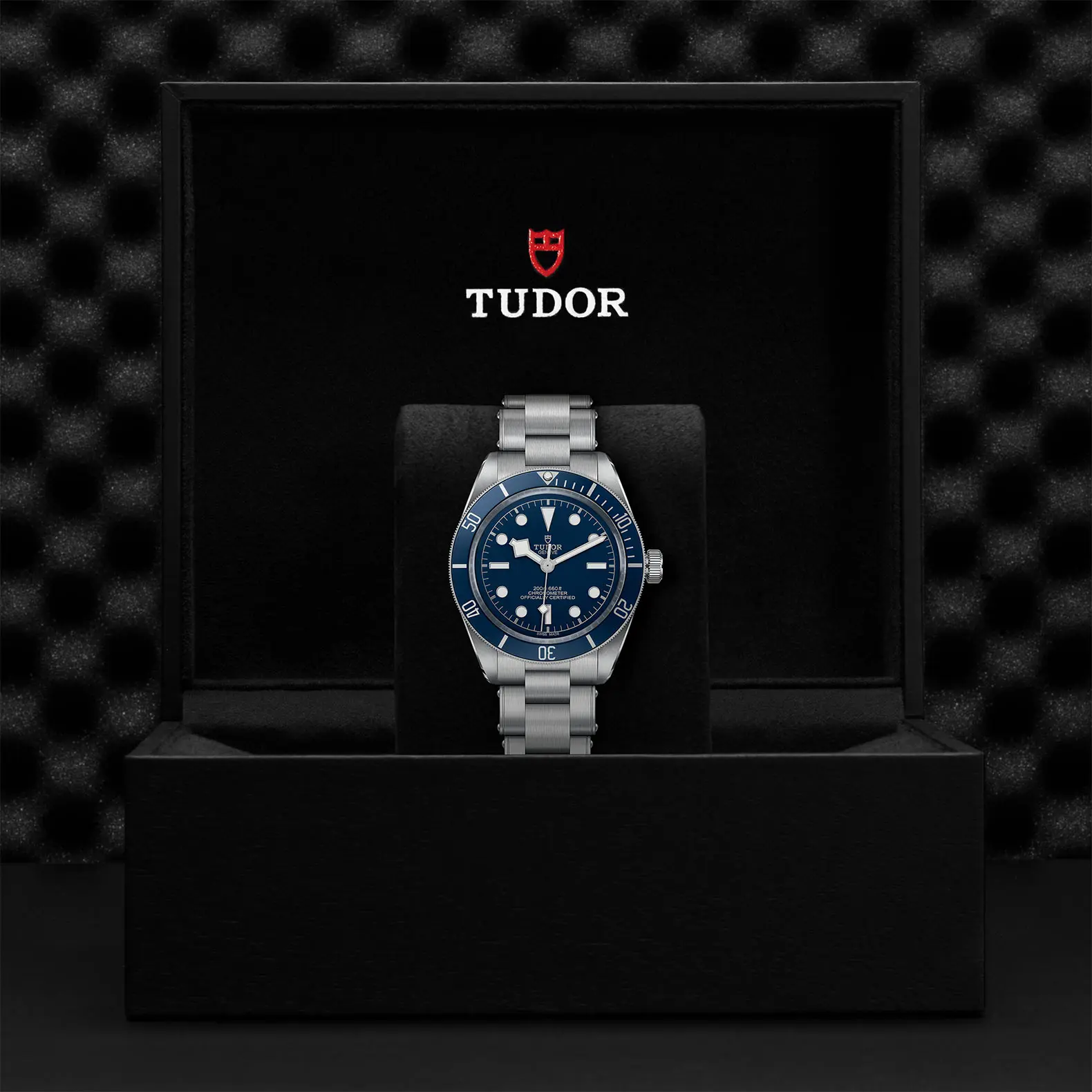 TUDORBlack Bay 58Black Bay 5839mm steel case with polished and satin finish - M79030B-0001 at Cortina Watch Thailand