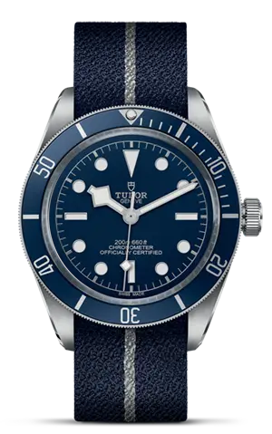 TUDORBlack Bay 58Black Bay 5839mm steel case with polished and satin finish - M79030B-0003 at Cortina Watch Thailand