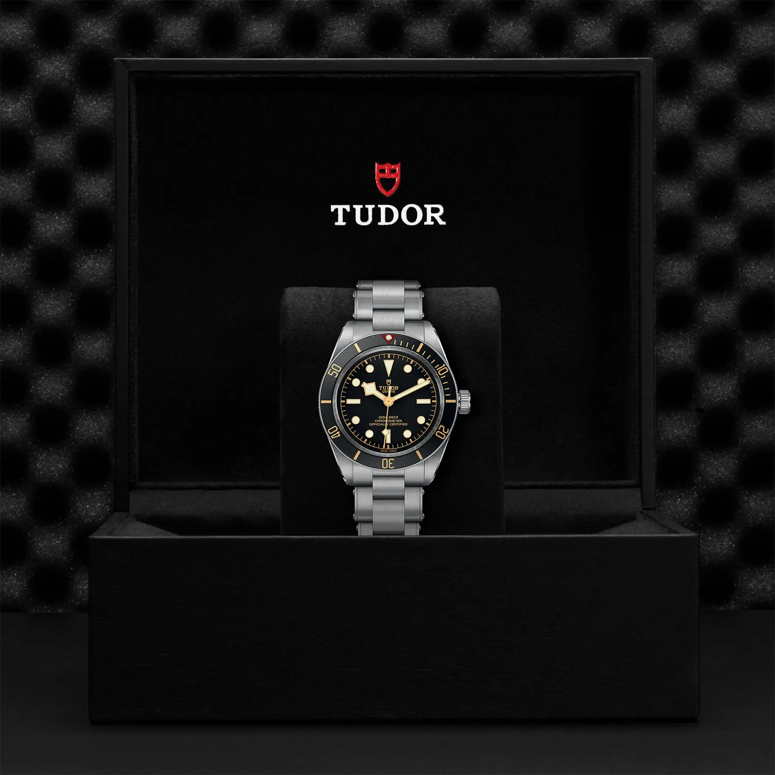 TUDORBlack Bay 58Black Bay 5839mm steel case with polished and satin finish - M79030N-0001 at Cortina Watch Thailand